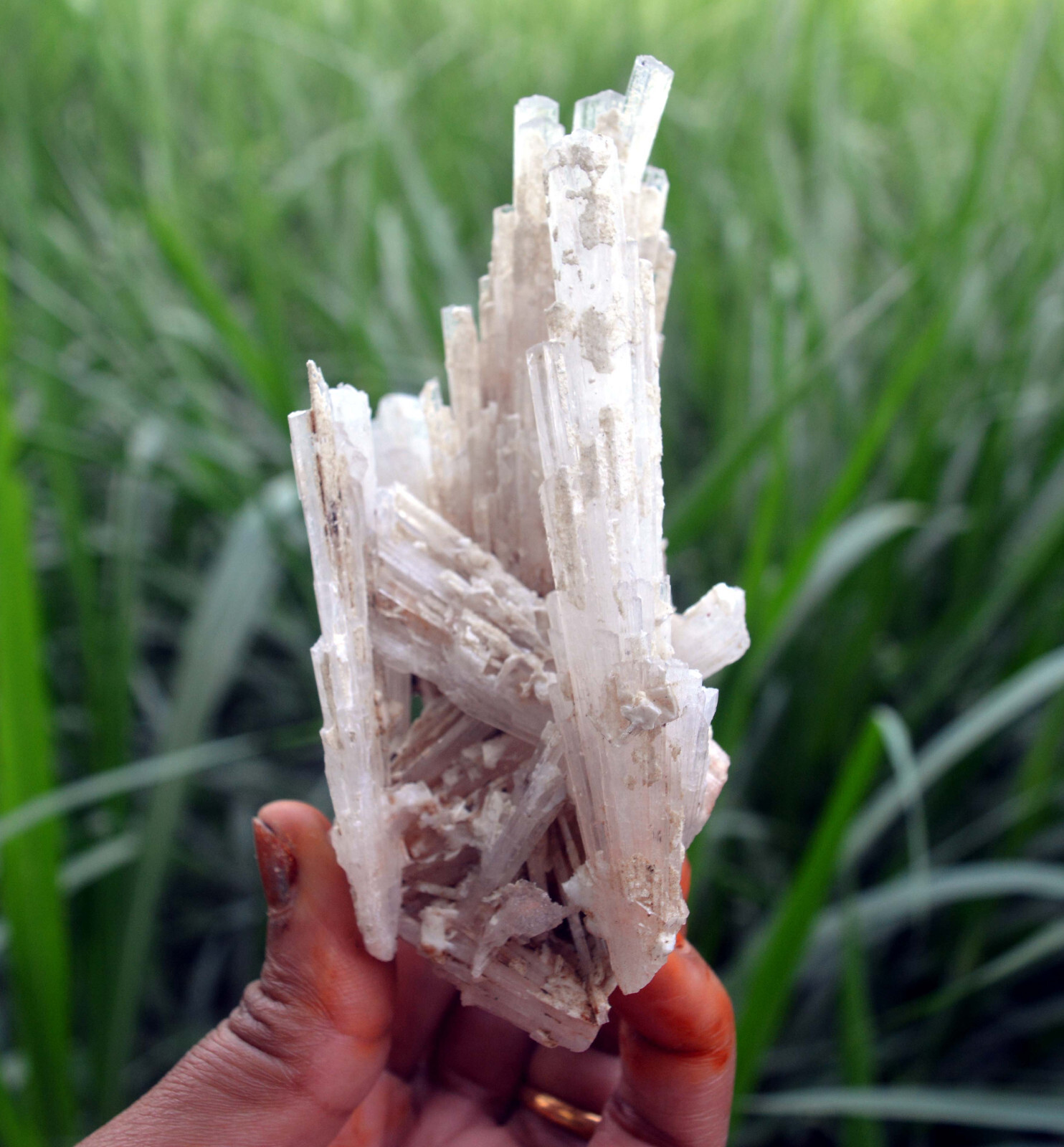 scolecite spray formation minerals specimen j-7