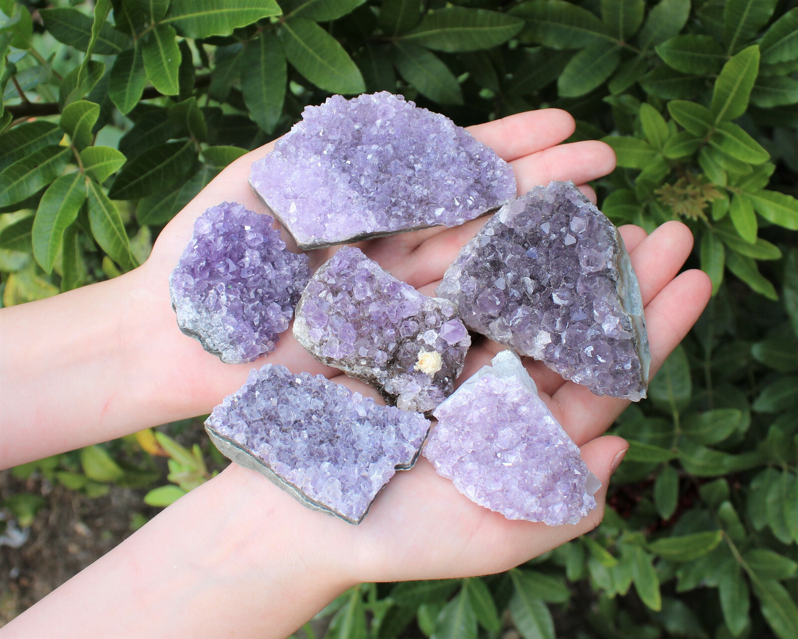 Wholesale Amethyst Cluster Box: B/C Grade CLEARANCE Box Bulk Amethyst Geodes