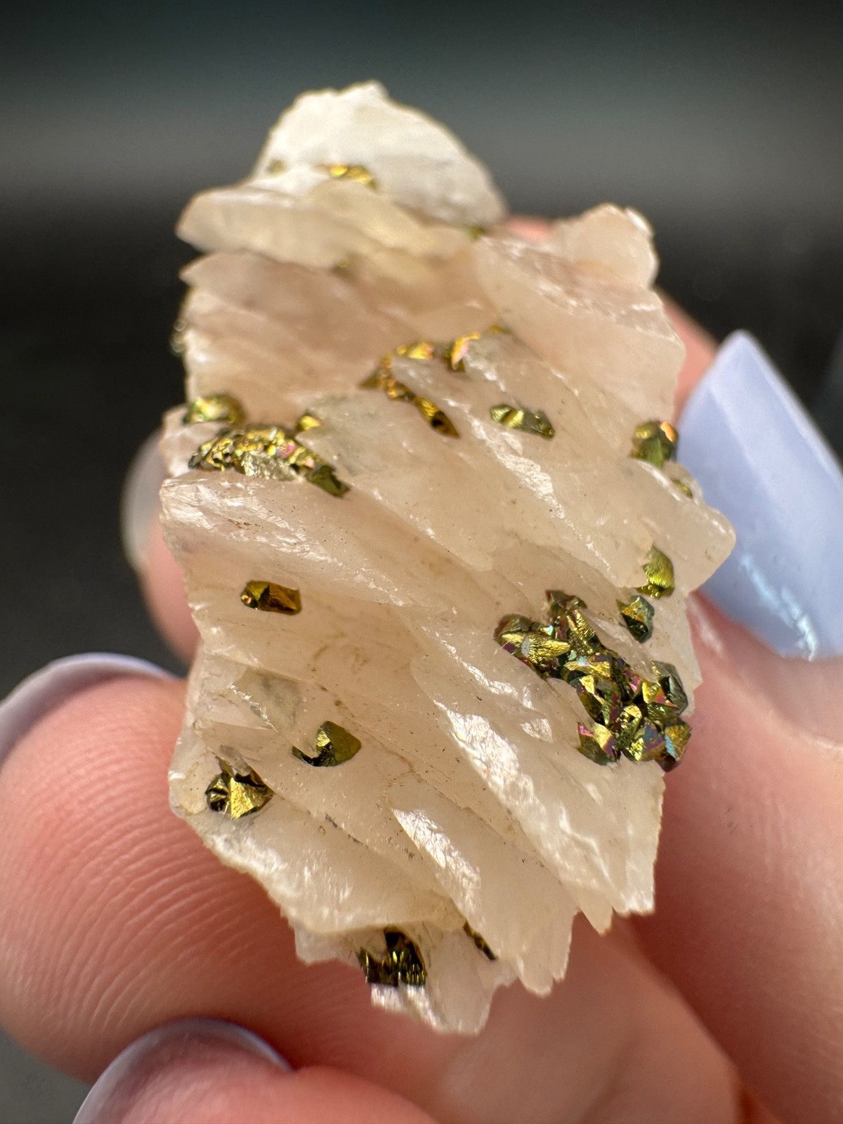 6592 Pink Layer Calcite with Golden and Rainbow Pyrite, UV Inner Mongolia 10g
