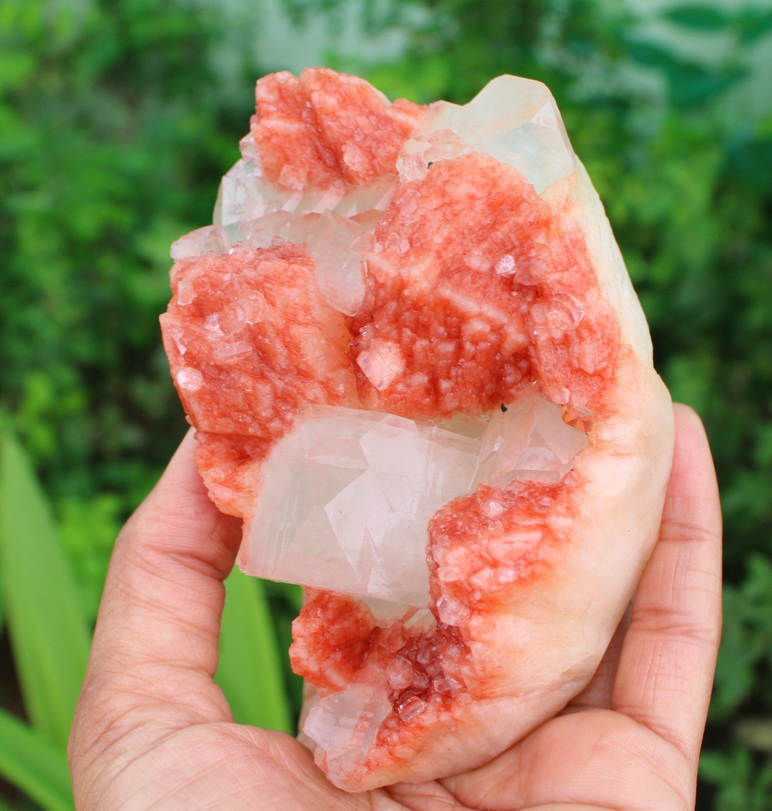 APOPHYLLITE CRYSTAL ON RED STILBITE MATRIX MINERAL SPECIMEN