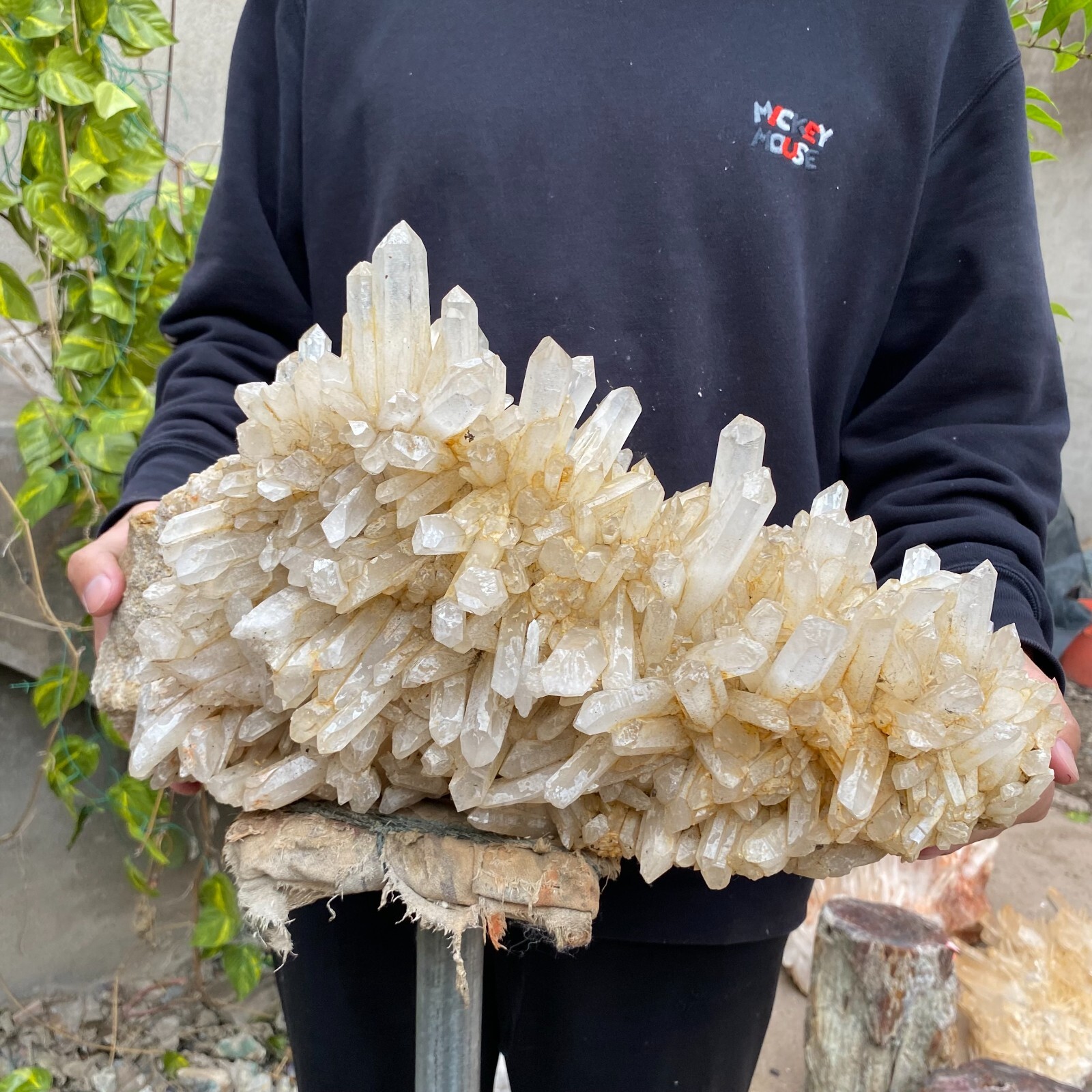 43.9lb Natural Clear White quart Crystal Cluster Raw Healing Specimen