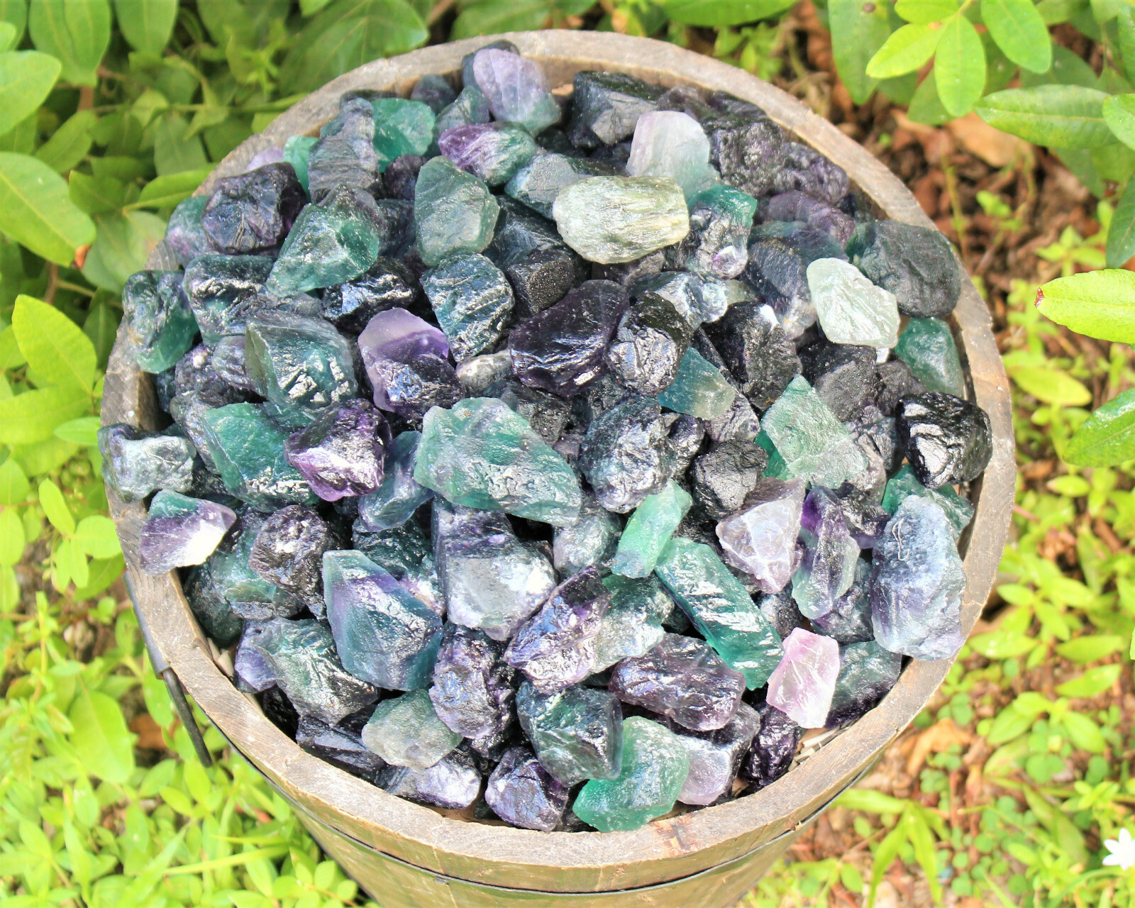 500 Carat Bulk Lot Natural Rough Fluorite (Raw Crystal Rock Healing 100 Grams)