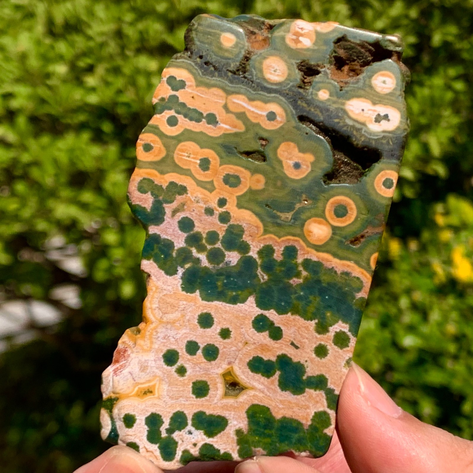 82G Natural Ocean Jasper Crystal SliceLarge Specimen Healing- Museum