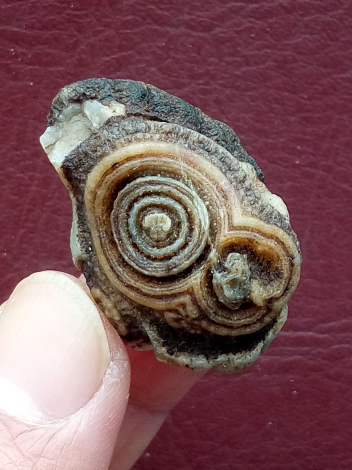 34mm Natural agate Gobi agate eye agate cute collection