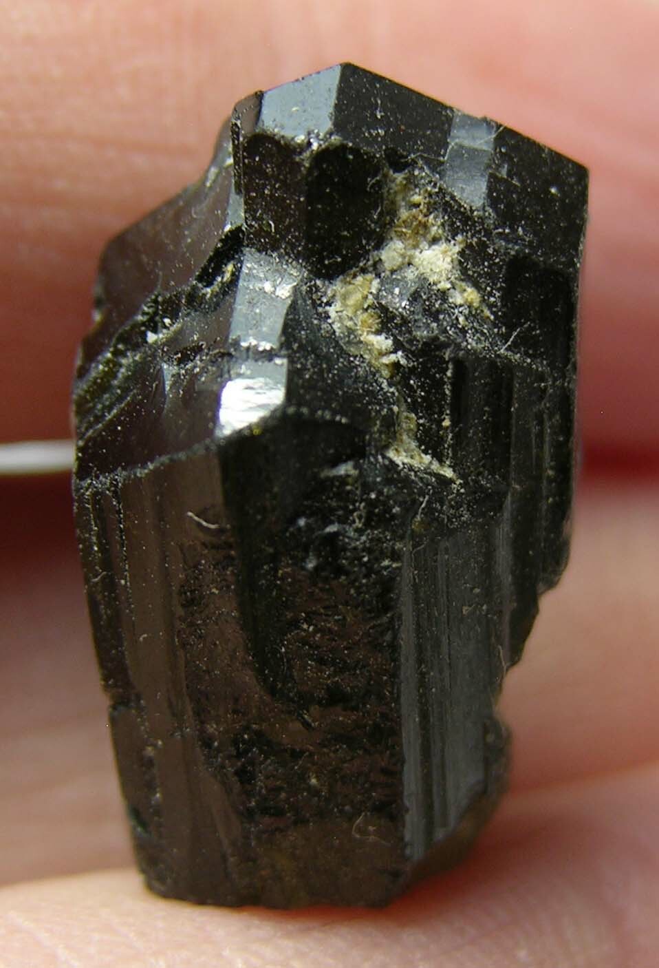 #2 Vietnam 20.00ct 100% Natural Terminated Watermelon Tourmaline Crystal 19mm