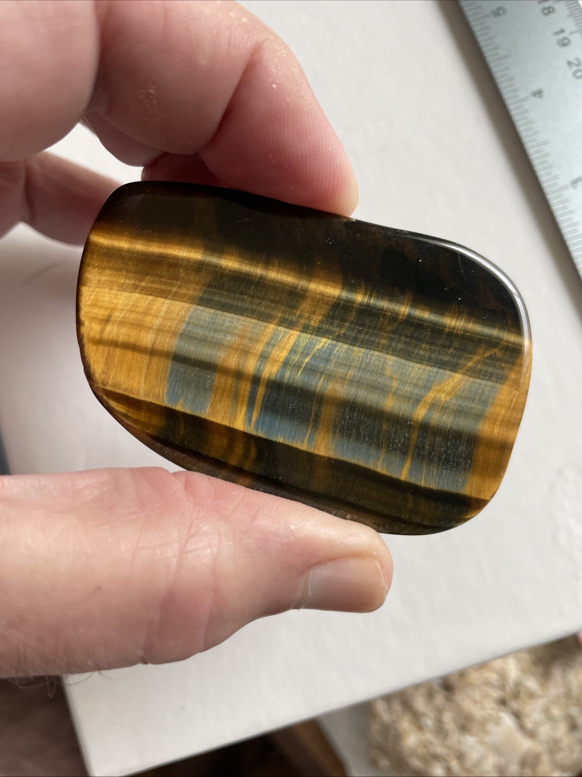 Natural Tiger’s Eye From South Africa Evolution New York City ￼
