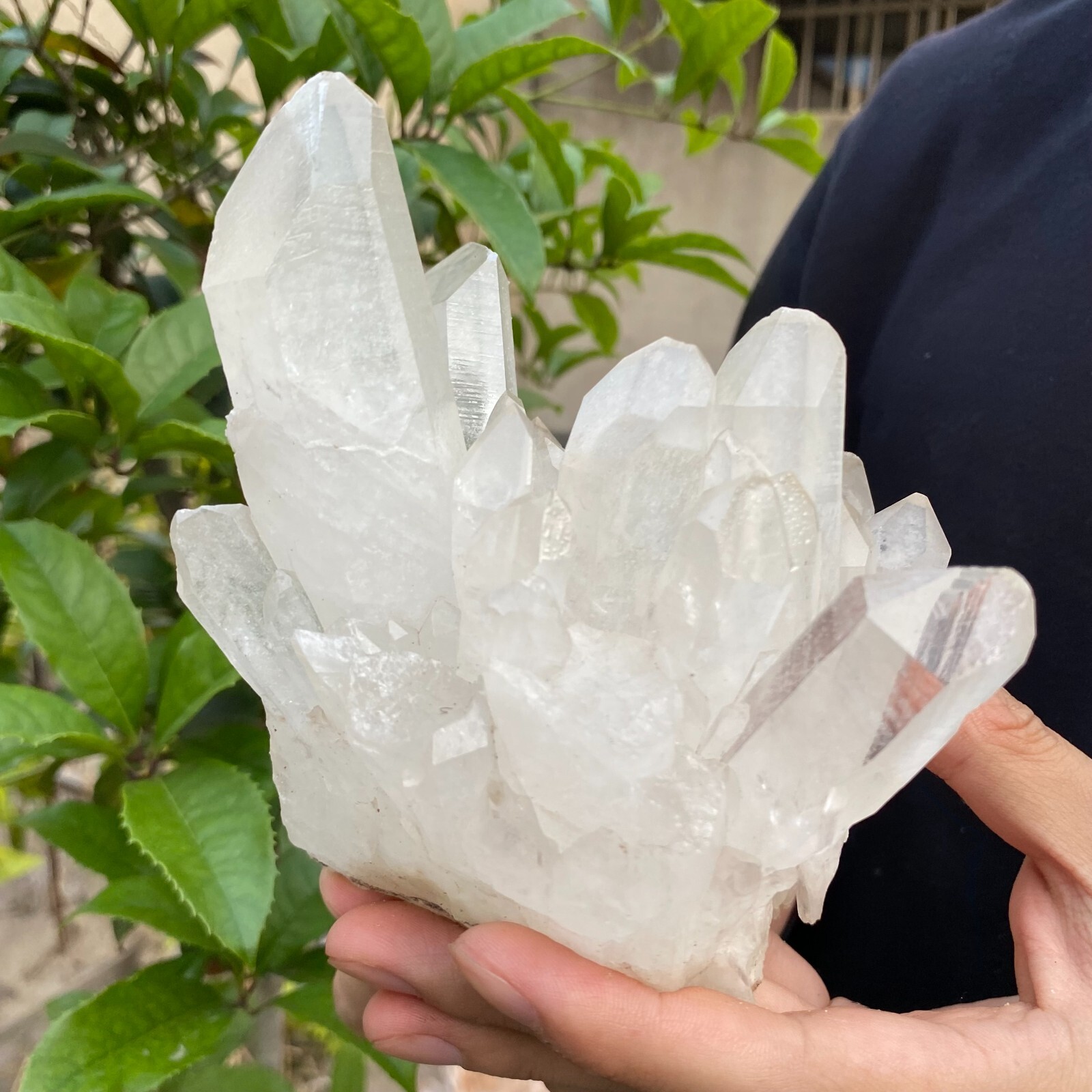 2.4lb Natural Clear White quart Crystal Cluster Raw Healing Specimen