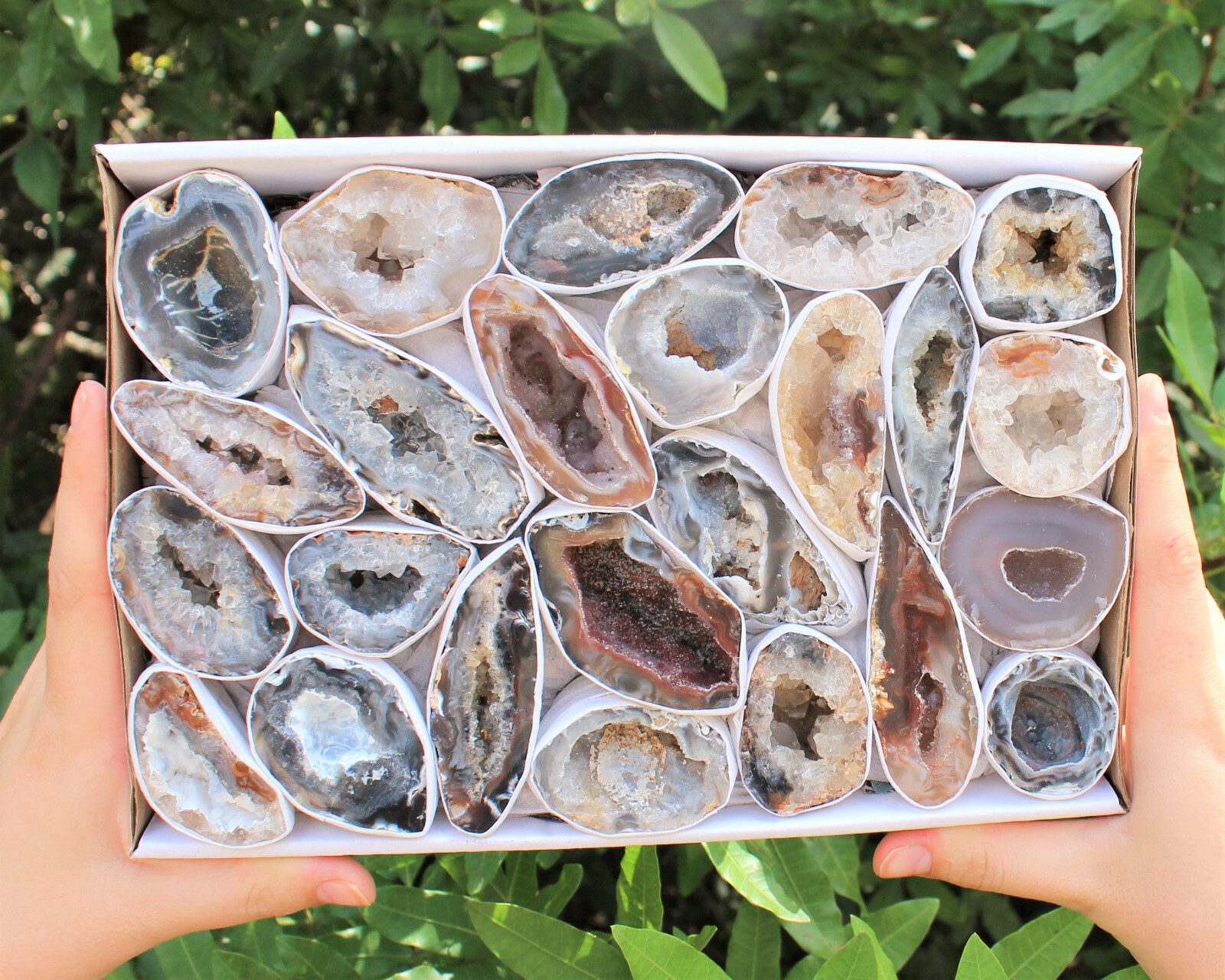 Large Oco Agate Geodes, Natural Crystal Druzy Halves: Choose How Many Pieces!