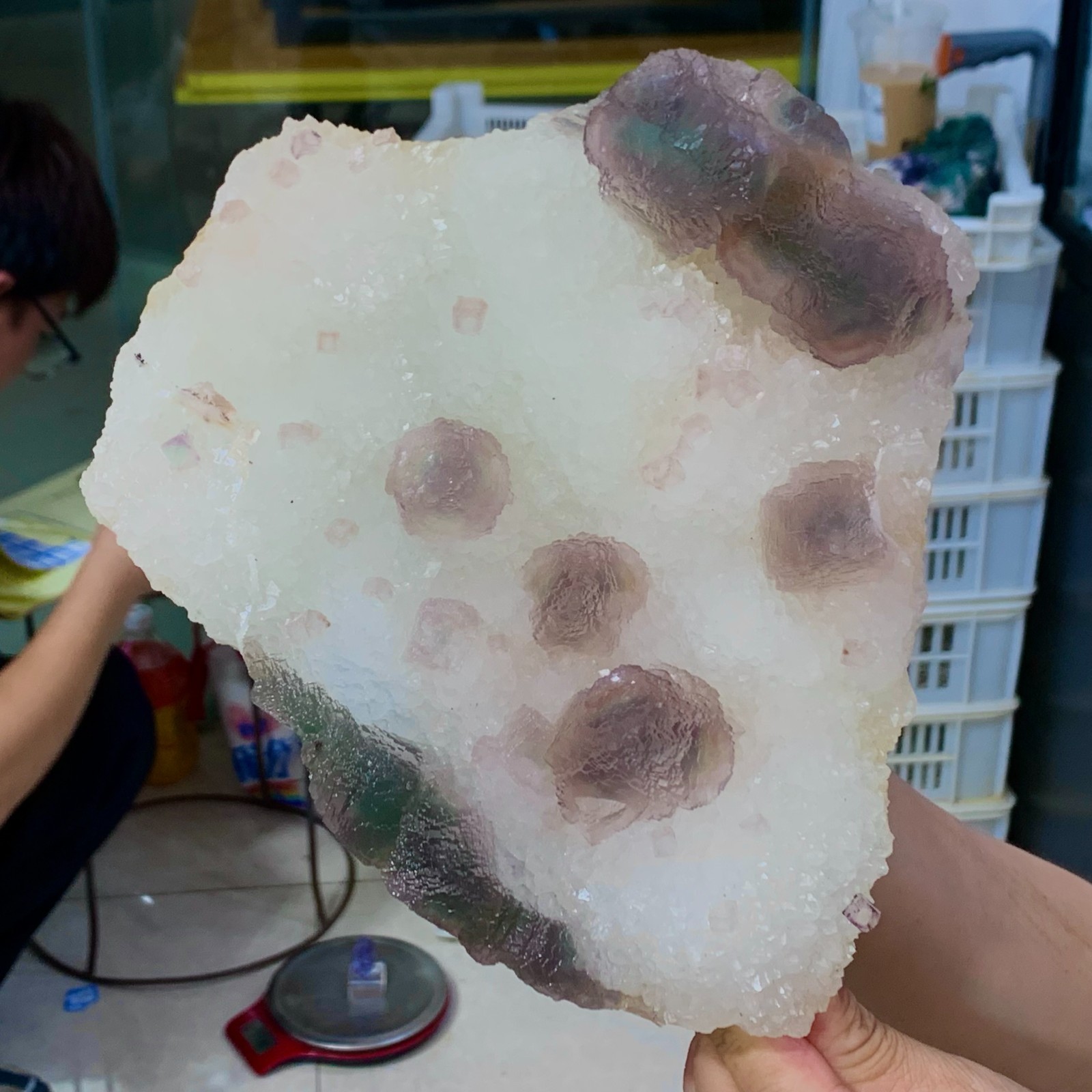 5.96LB Natural Bubble fluorite Purple cubic mineral crystal sample/Zhejiang