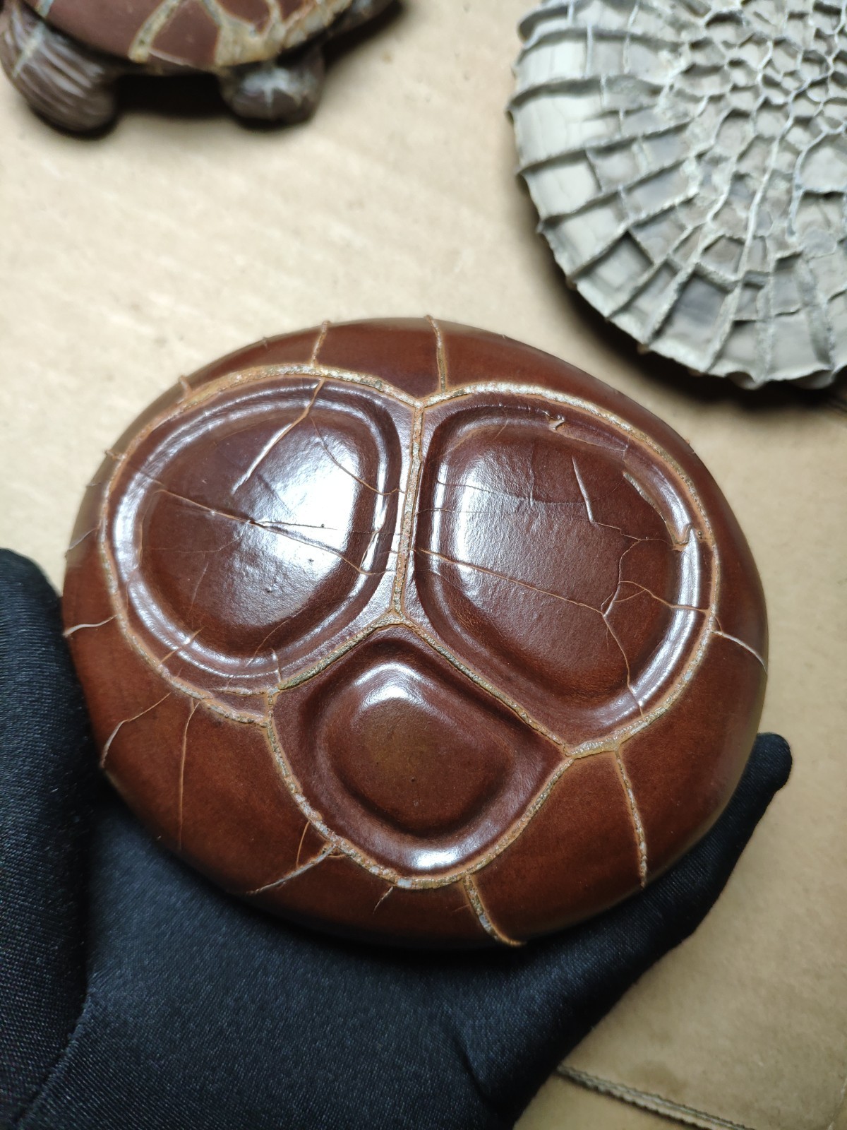 680g beautiful Natural tortoise back pattern stone Landscape stone