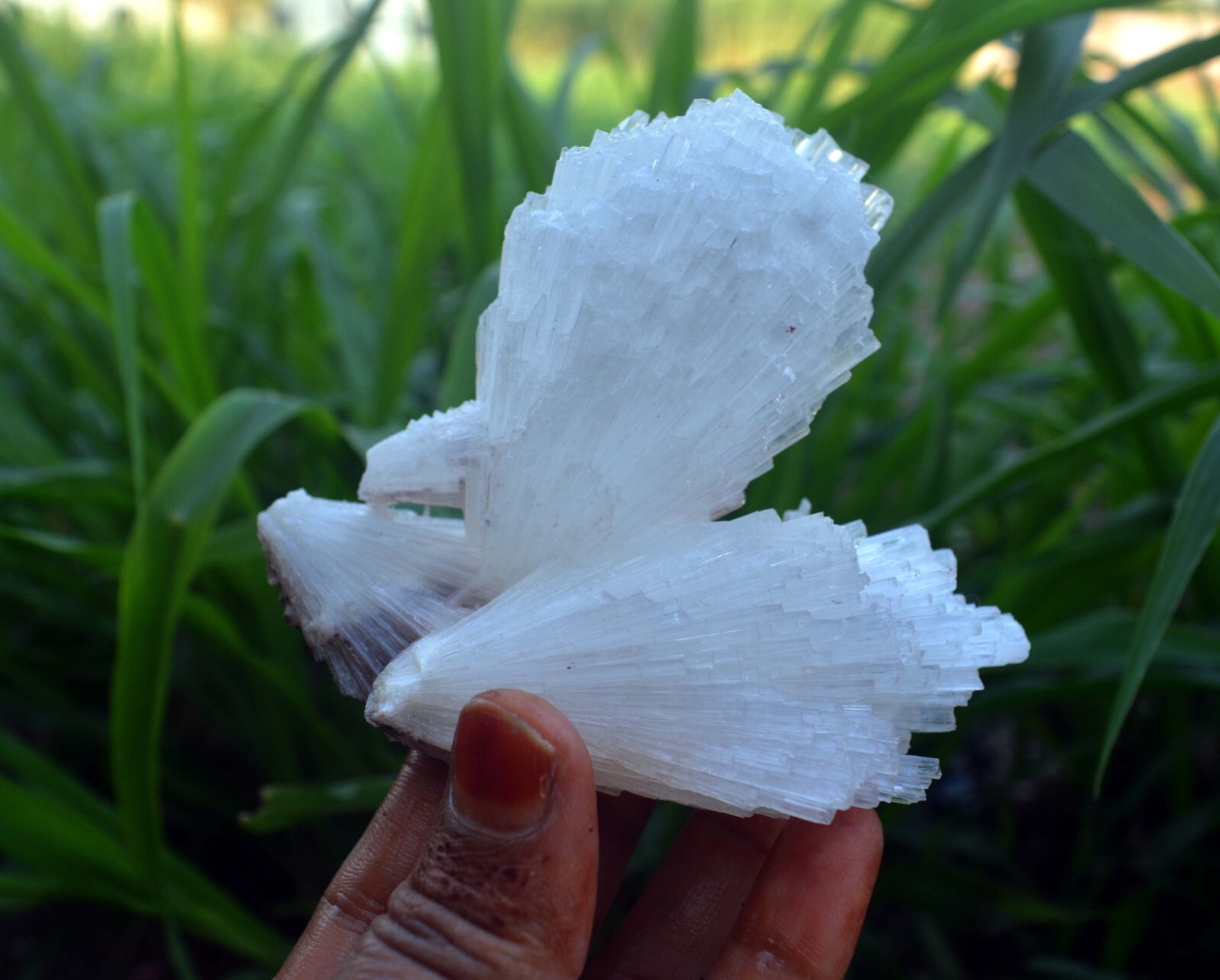 scolecite spray formation minerals specimen m-3