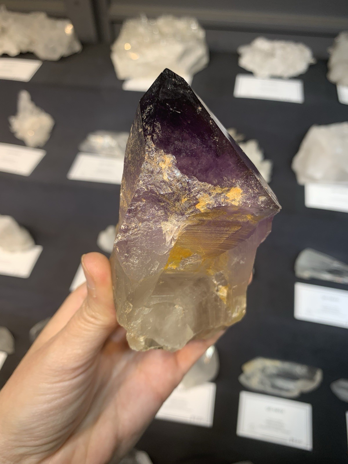 Amethyst Crystal Point from Australia dug by Patrick Gundersen Crystals of AUS