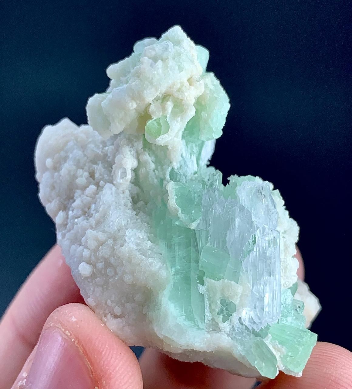 146 Carat Tourmaline Crystal With Kunzite Specimen From Afghanistan