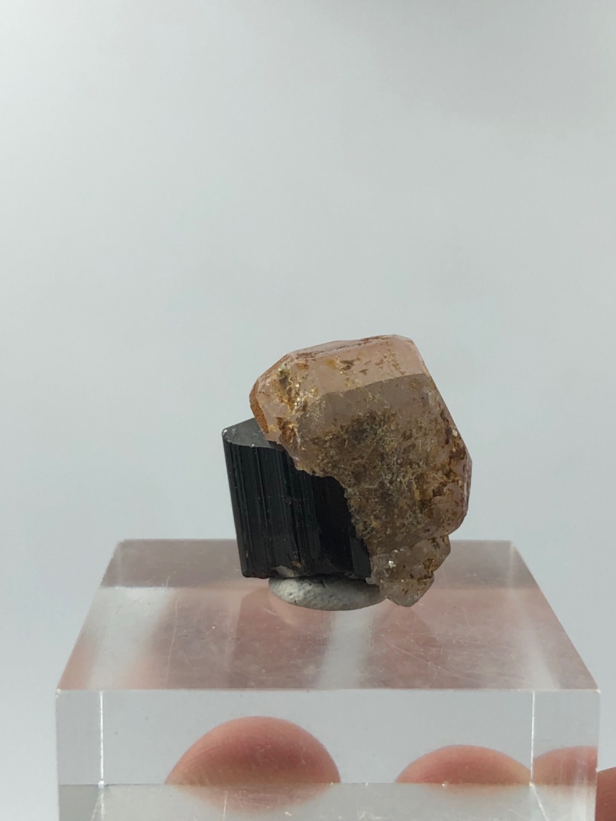 14 Grams Fluorescent Pink apatite Crystal with schorl from skardu pakistan