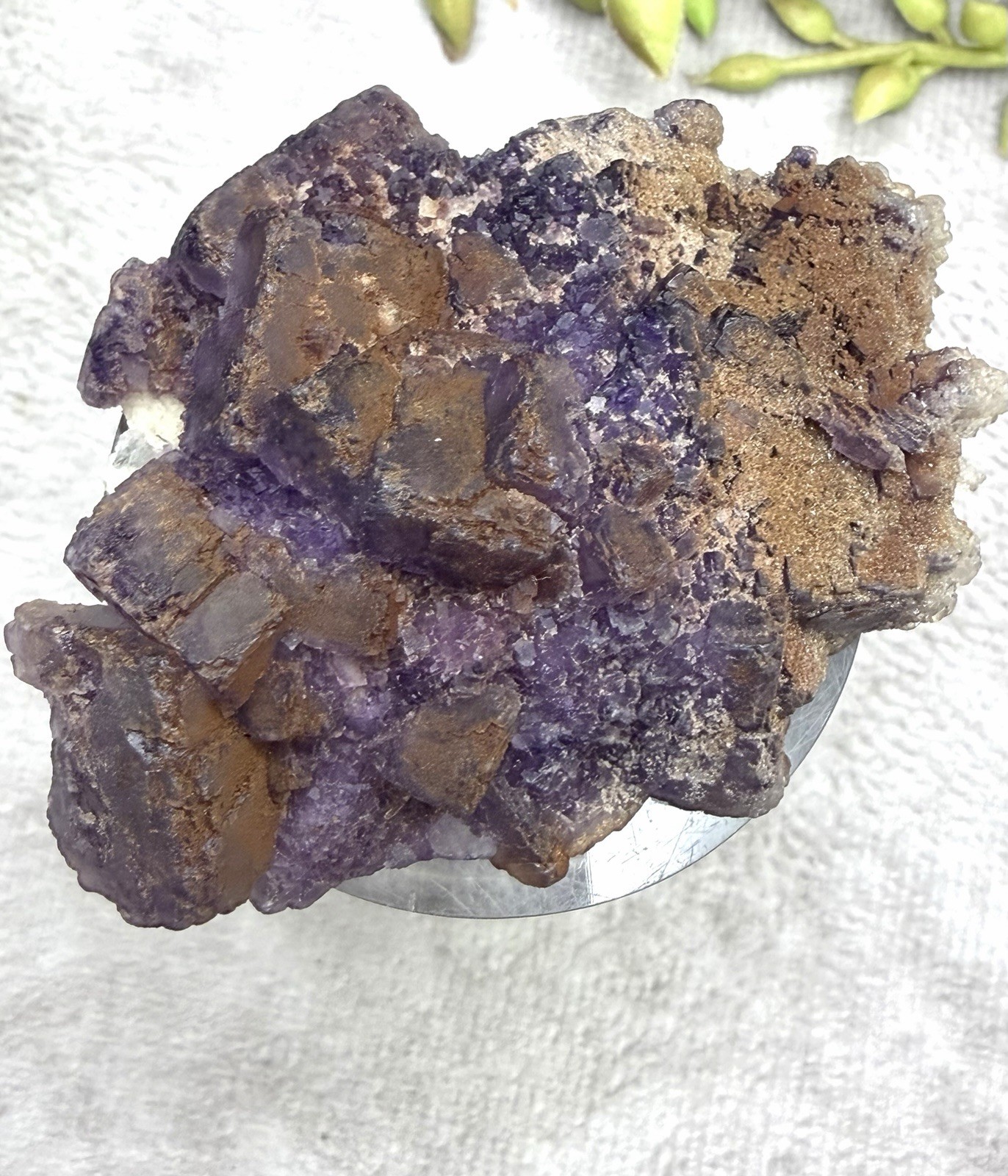 Crystal 58g Natural Coated Purple Window Cube Fluorite Specimen Mineral