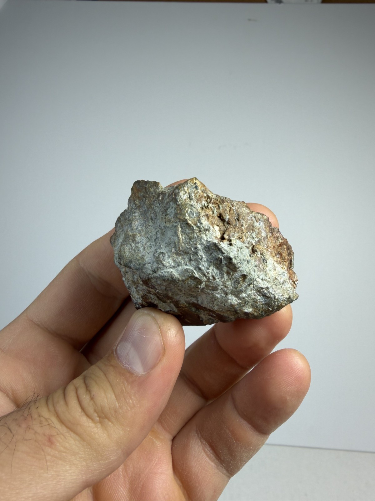 Large Red Garnet Crystal | North Carolina | Little Pine | Mineral | Specimen
