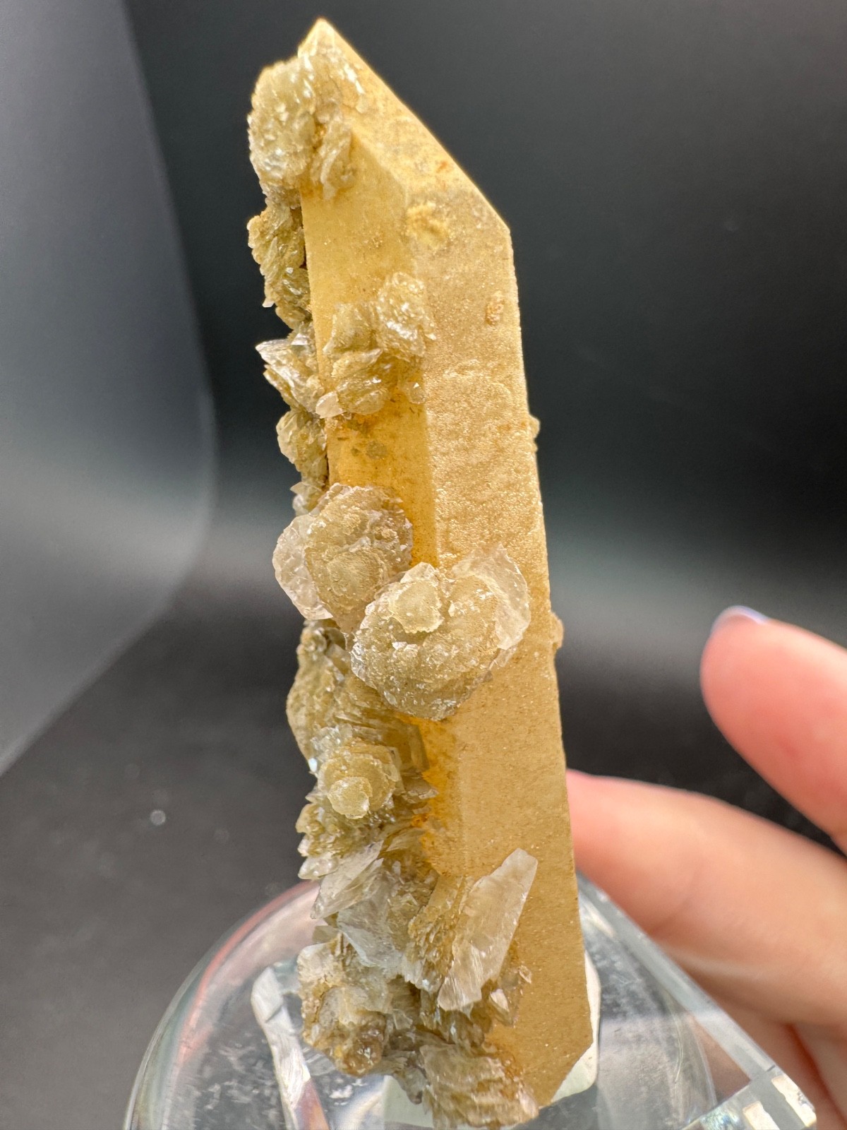 6631 Yellow Candle Quartz Point with Petal Calcite Inner Mongolia 28g