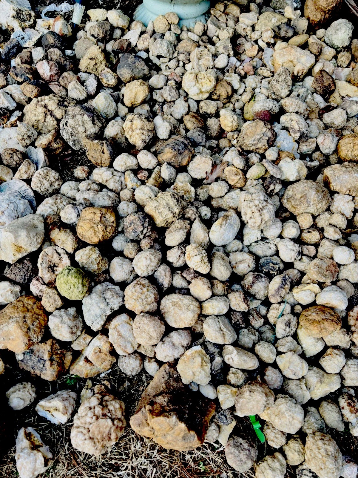 Kentucky Geodes Unopened 10lb lot + Bonus Surprise