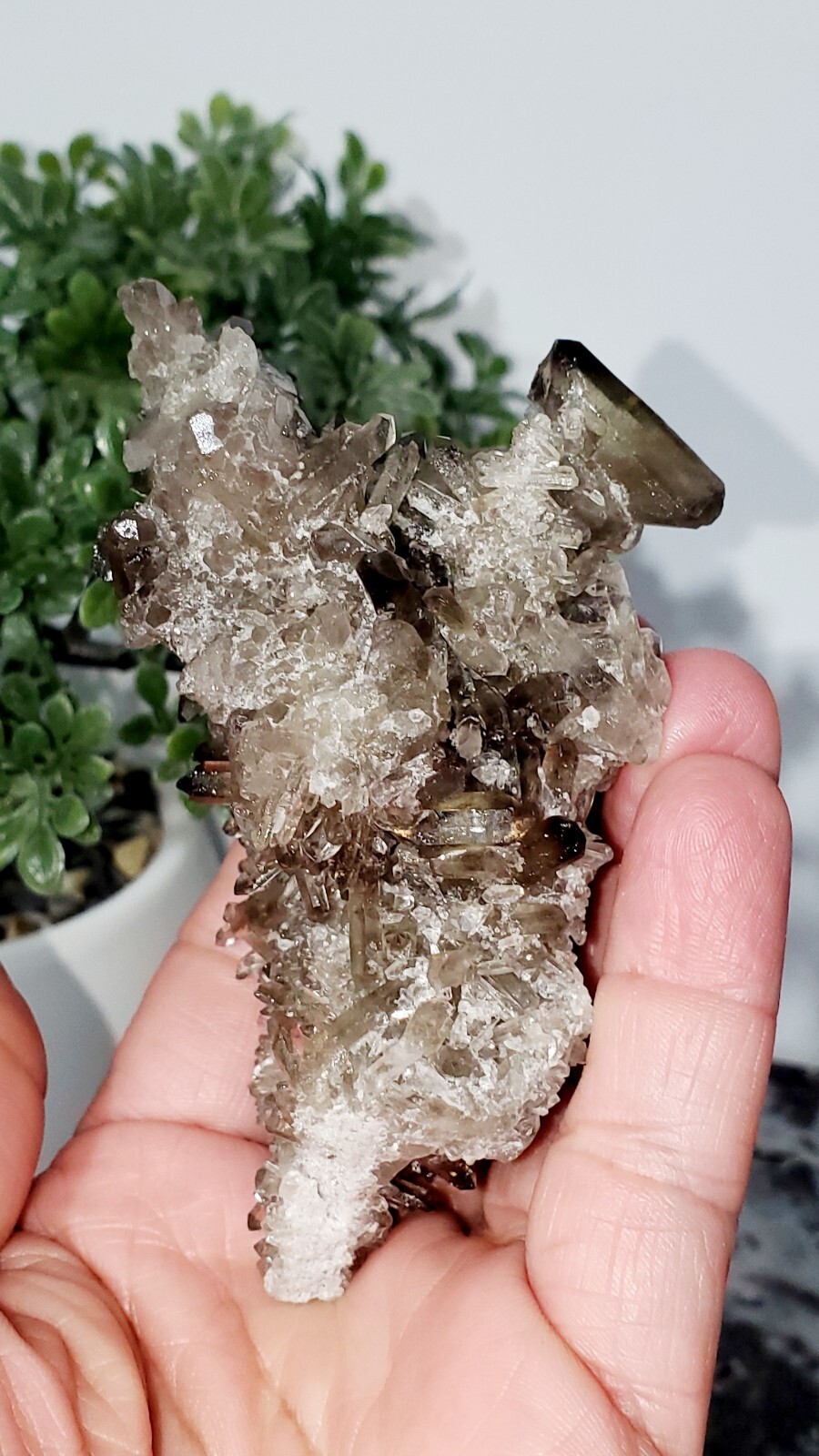 160g Natural Raw SMOKEYQuartz Crystal Cluster Mineral Specimen