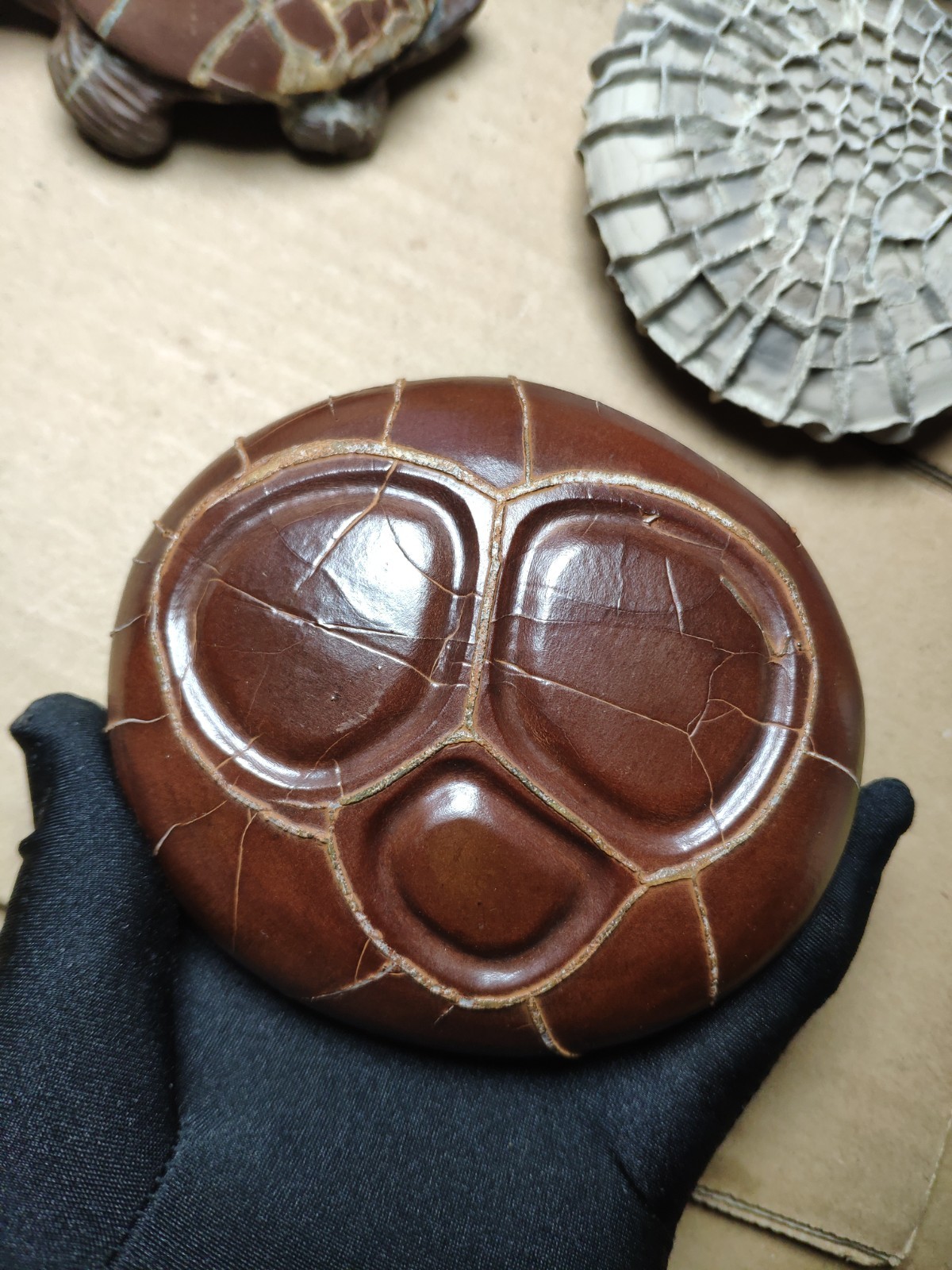 680g beautiful Natural tortoise back pattern stone Landscape stone