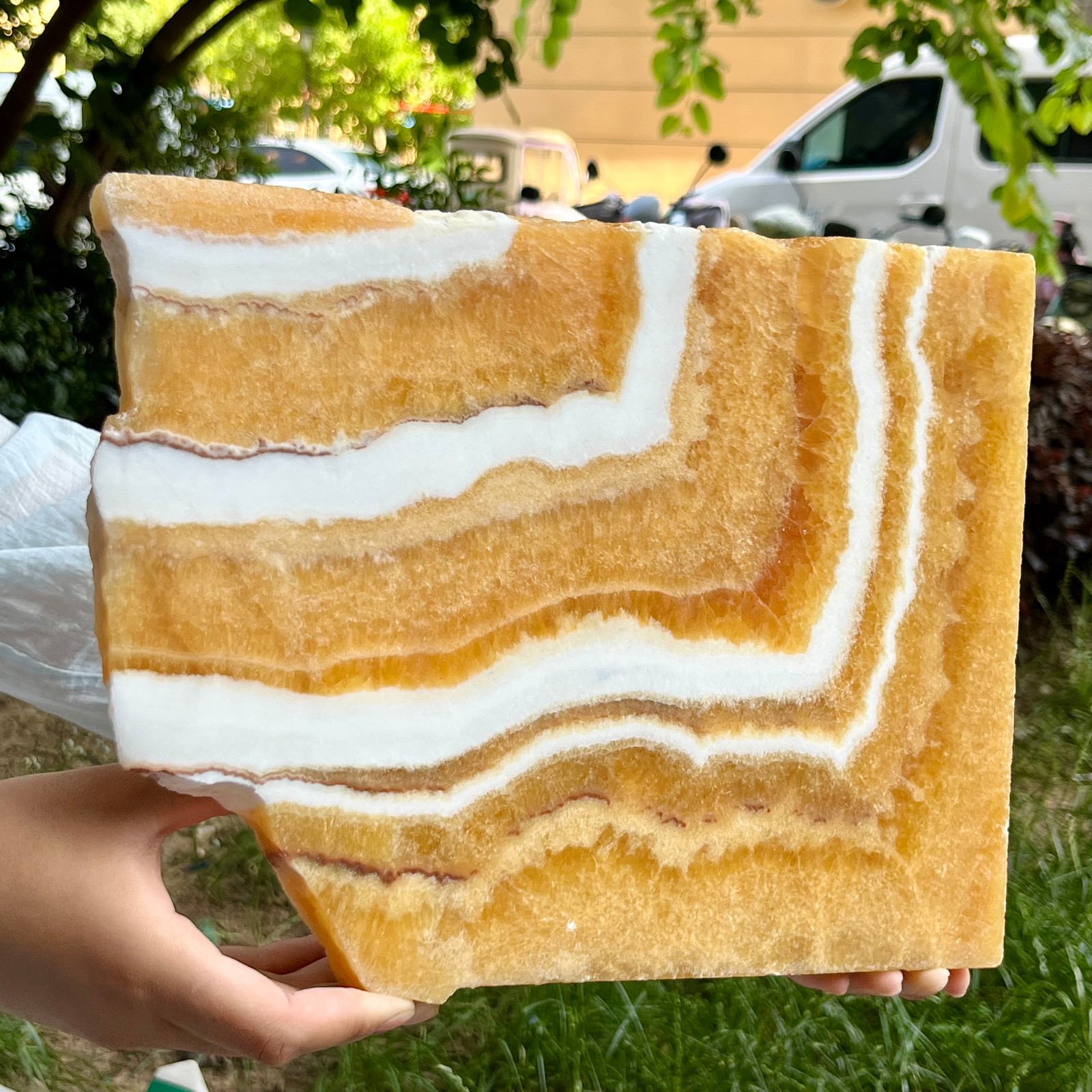 6.2 lb Authentic Yellow Calcite Polished Both Sides Crystal Slice Display