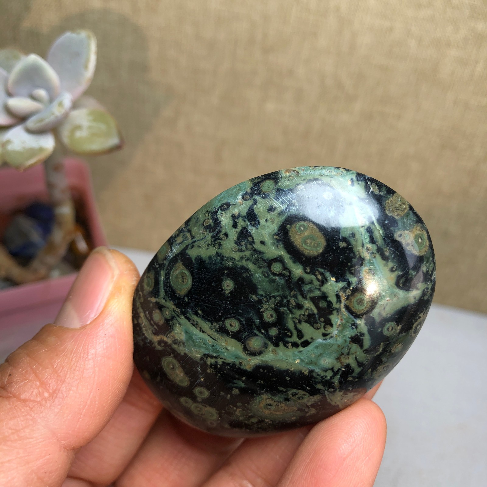 Top Natural Green Kambaba jasper quartz crystal Specimen healing 50g A2601