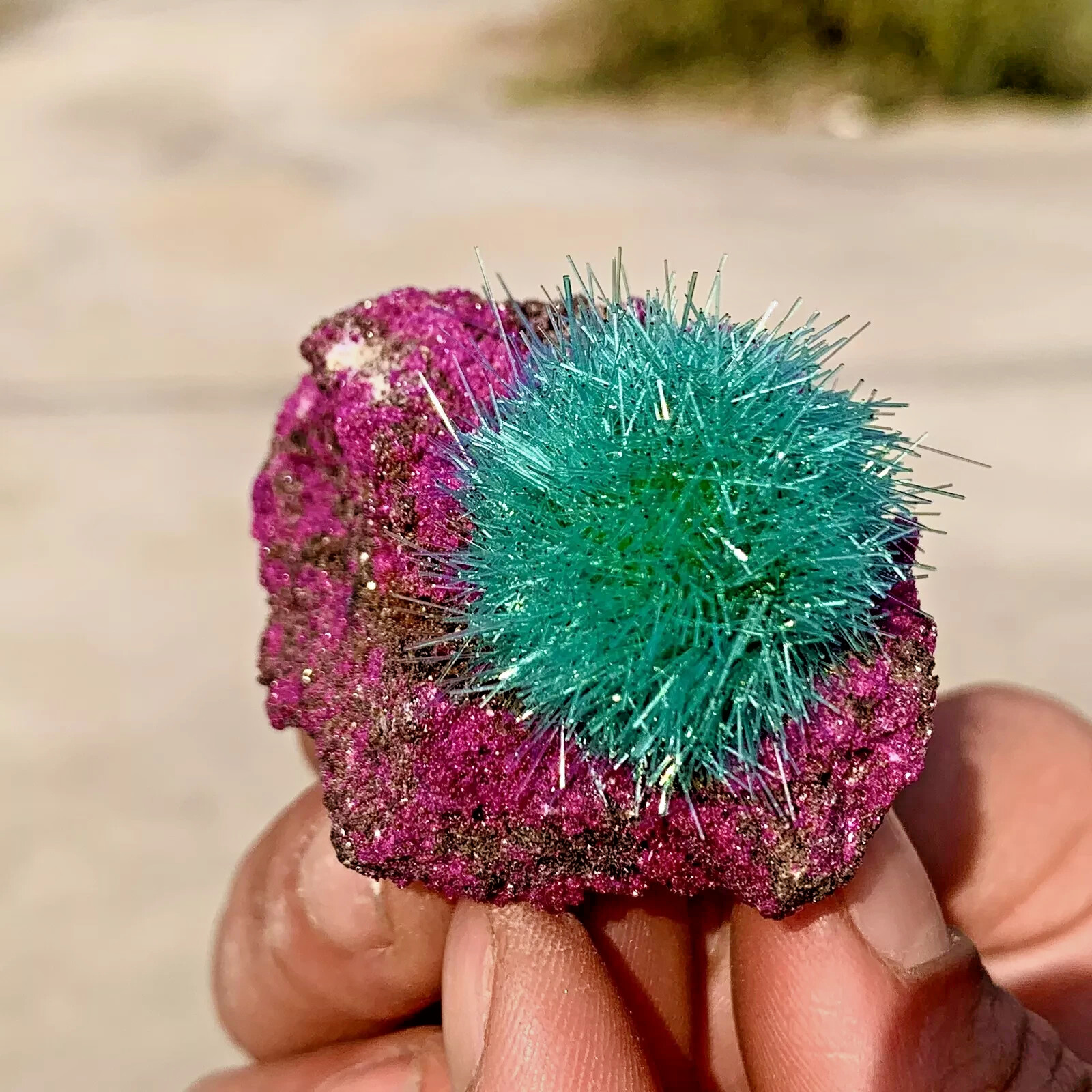 RARE Dandelion Zeolite Cluster Titanium Geode Quartz Crystal Healing Specimens