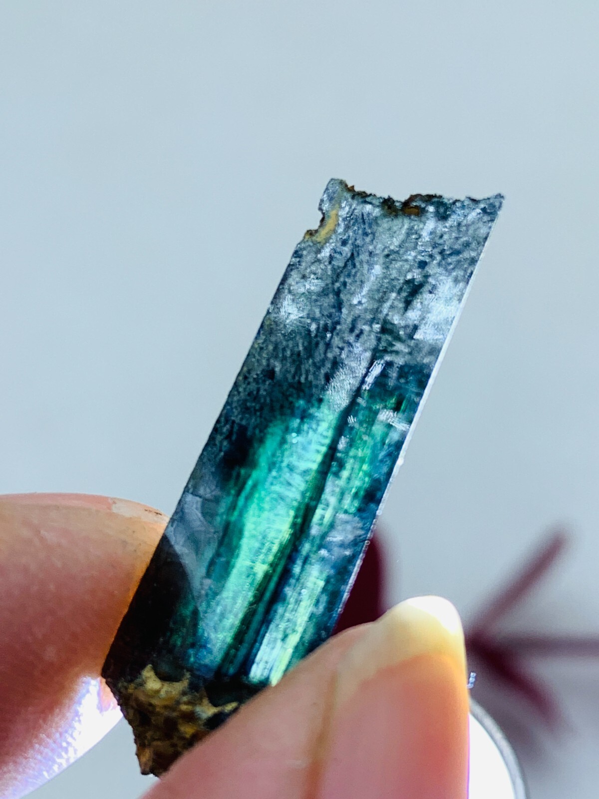 10ct 30mm TOP EXCELLENT BLUE GREEN VIVIANITE CRYSTALS Specimen FROM Brazil GEM