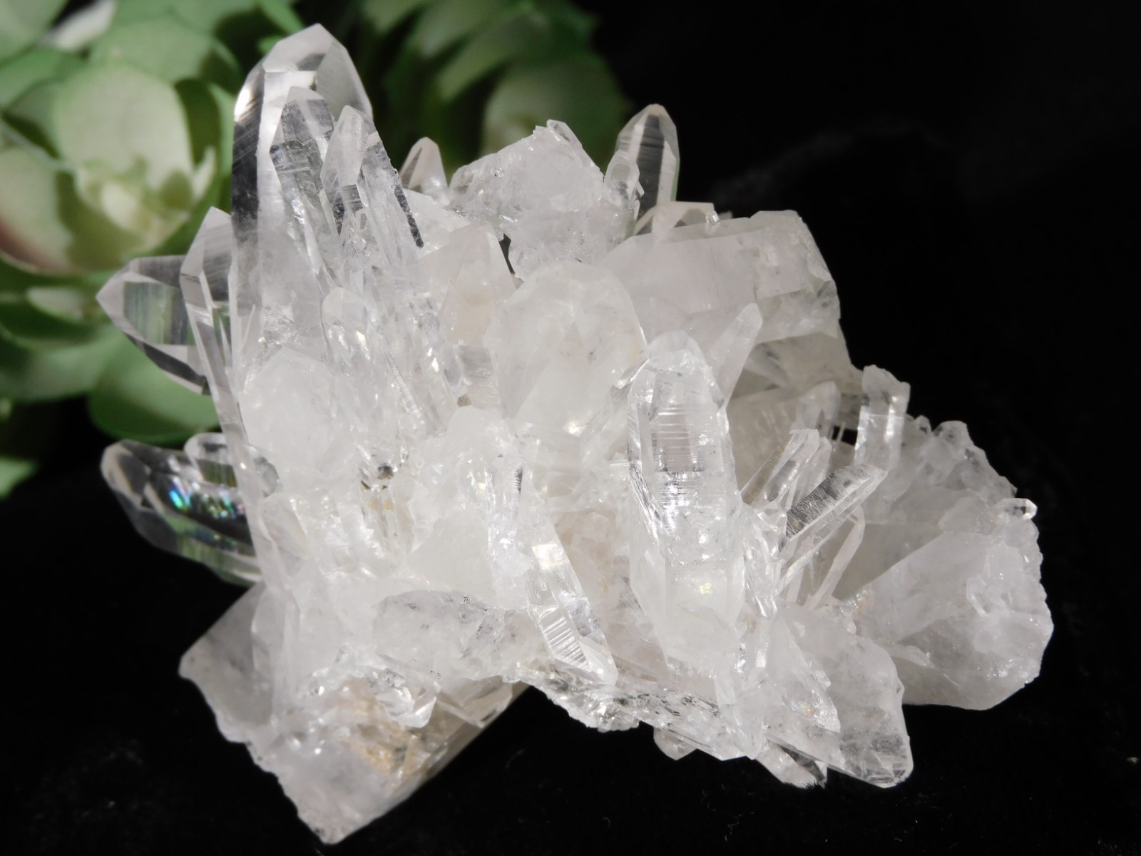 VERY TRANSLUCENT Quartz Crystal Cluster Collier Creek ARKANSAS 135gr