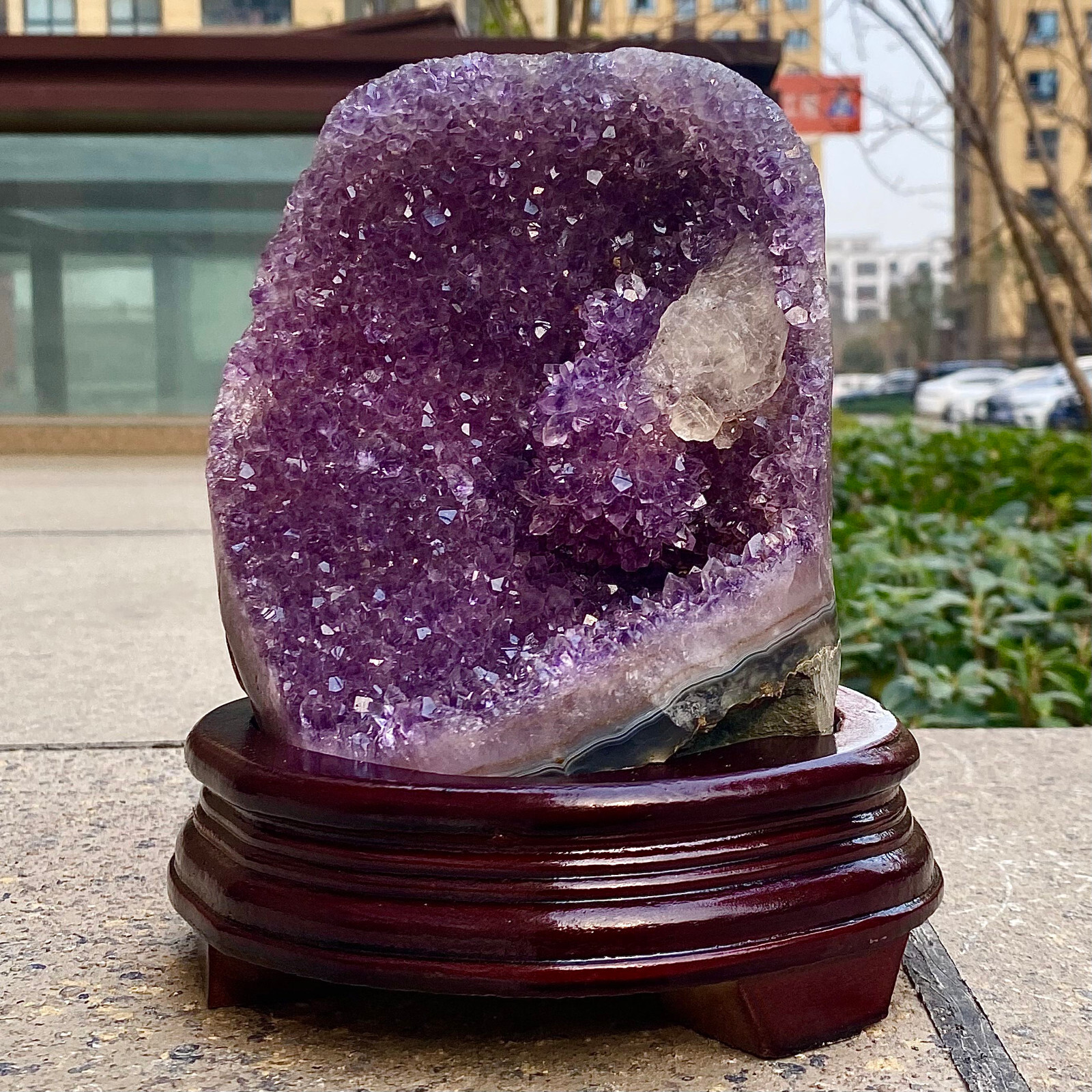 6.65LB Natural Uruguayan Amethyst Quartz Cave Geode Crystal Healing+base