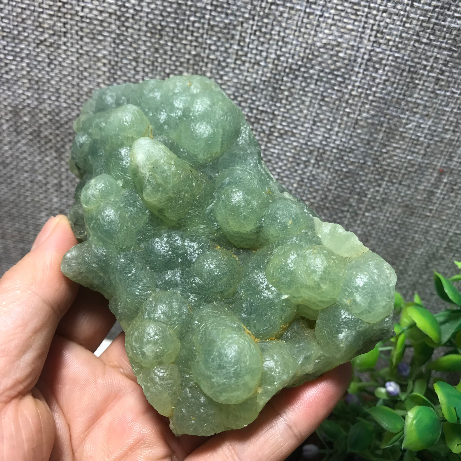 265g Natural Green chalcedony grape agate crystal specimen Indonesia 05