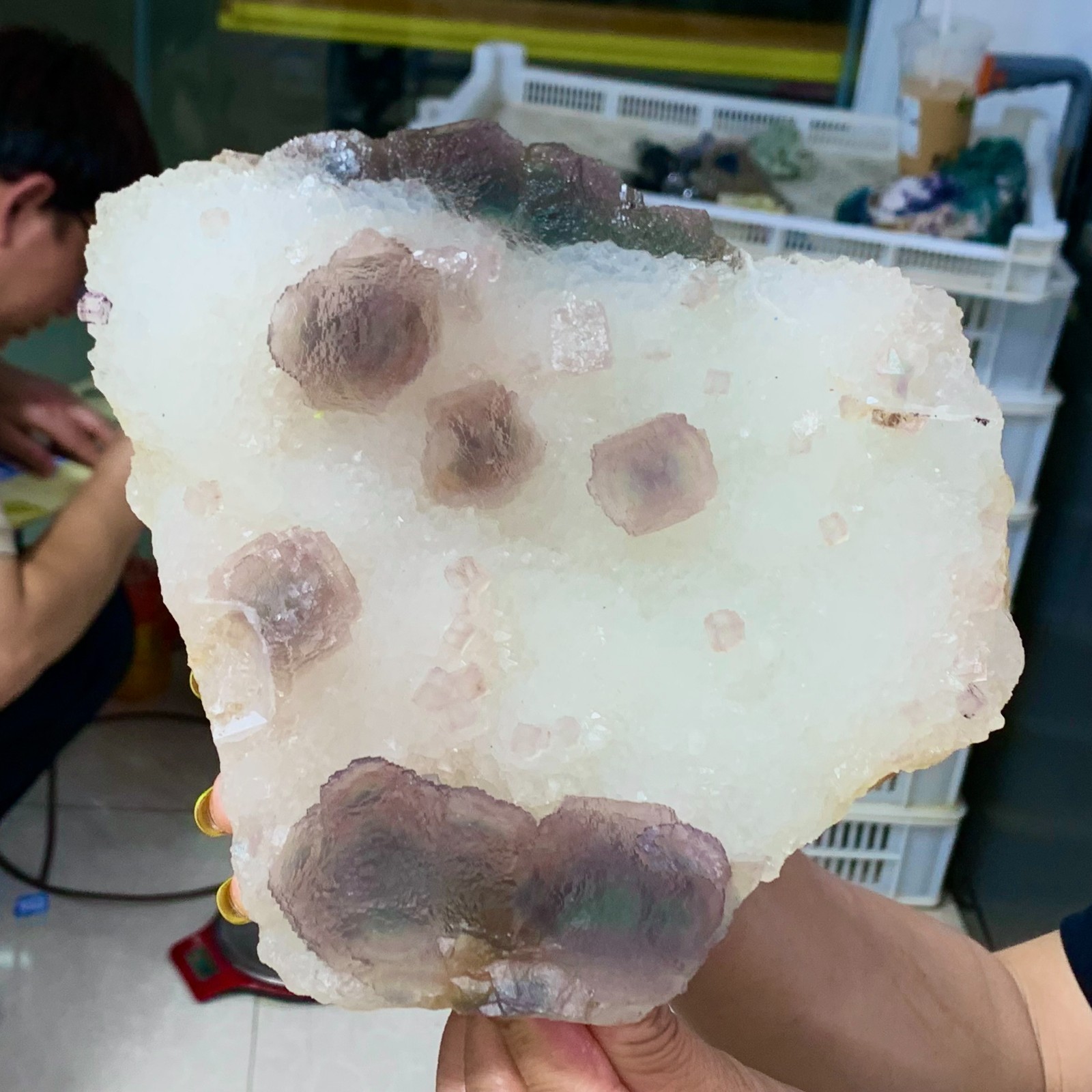 5.96LB Natural Bubble fluorite Purple cubic mineral crystal sample/Zhejiang