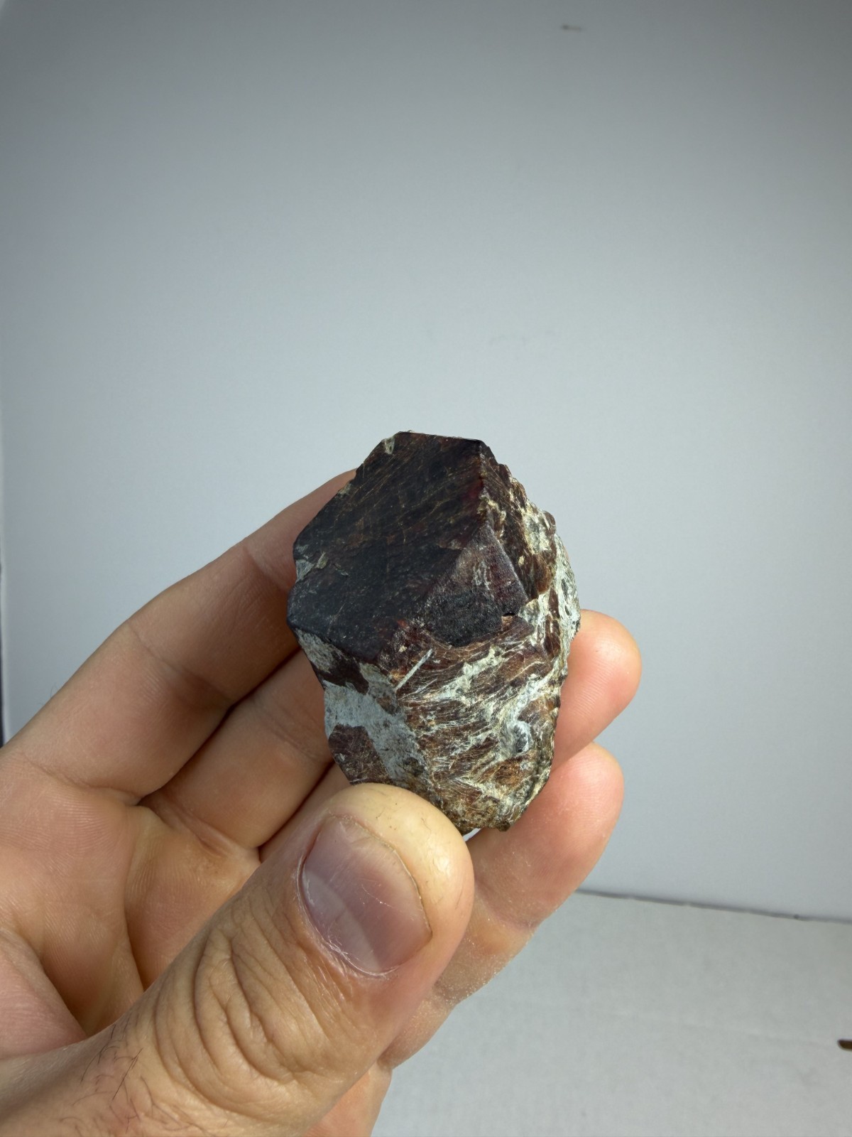 Large Red Garnet Crystal | North Carolina | Little Pine | Mineral | Specimen