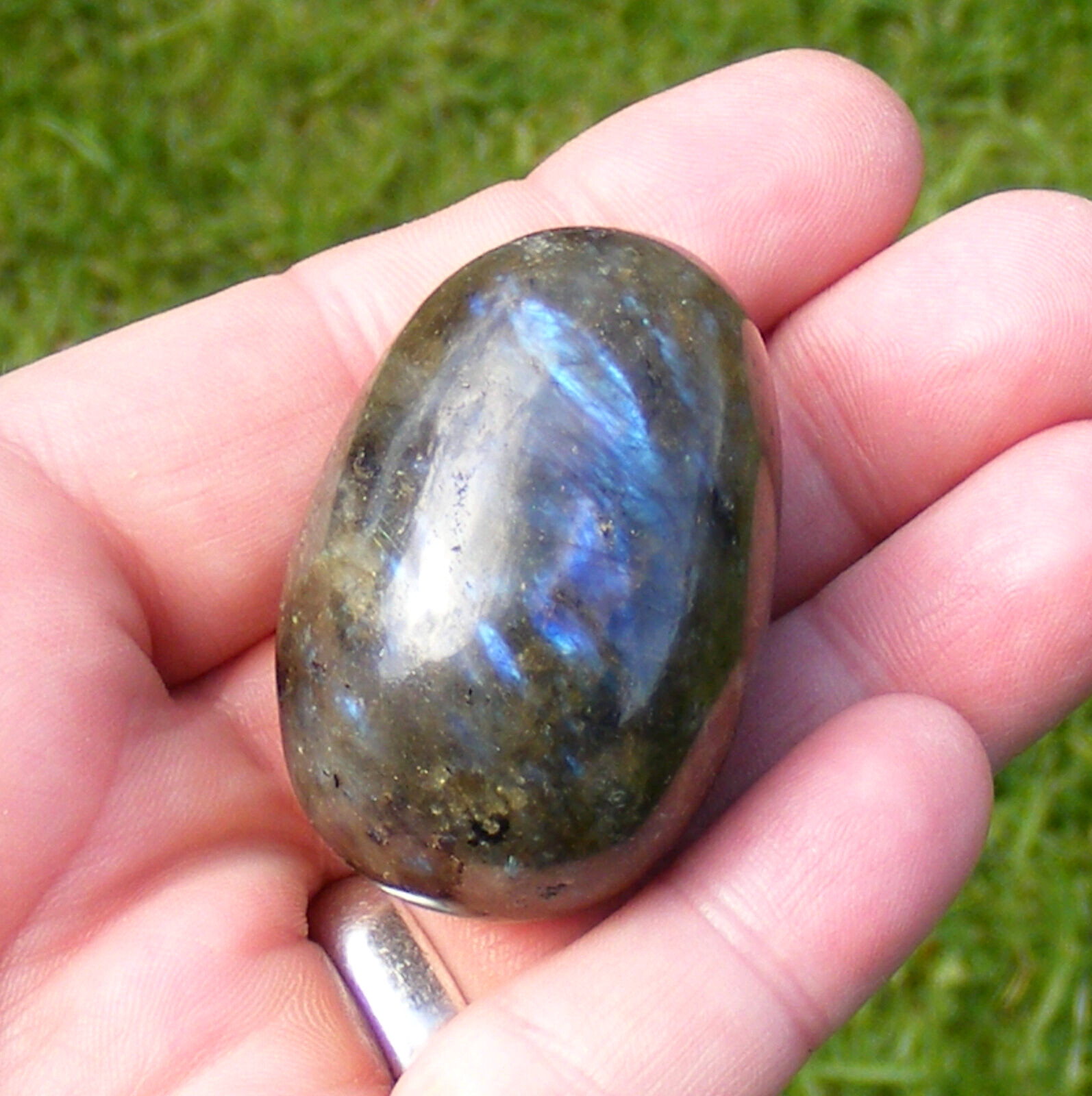 Labradorite Egg Polished Natural Iridescent Blue Flash Gemstone Easter Gift