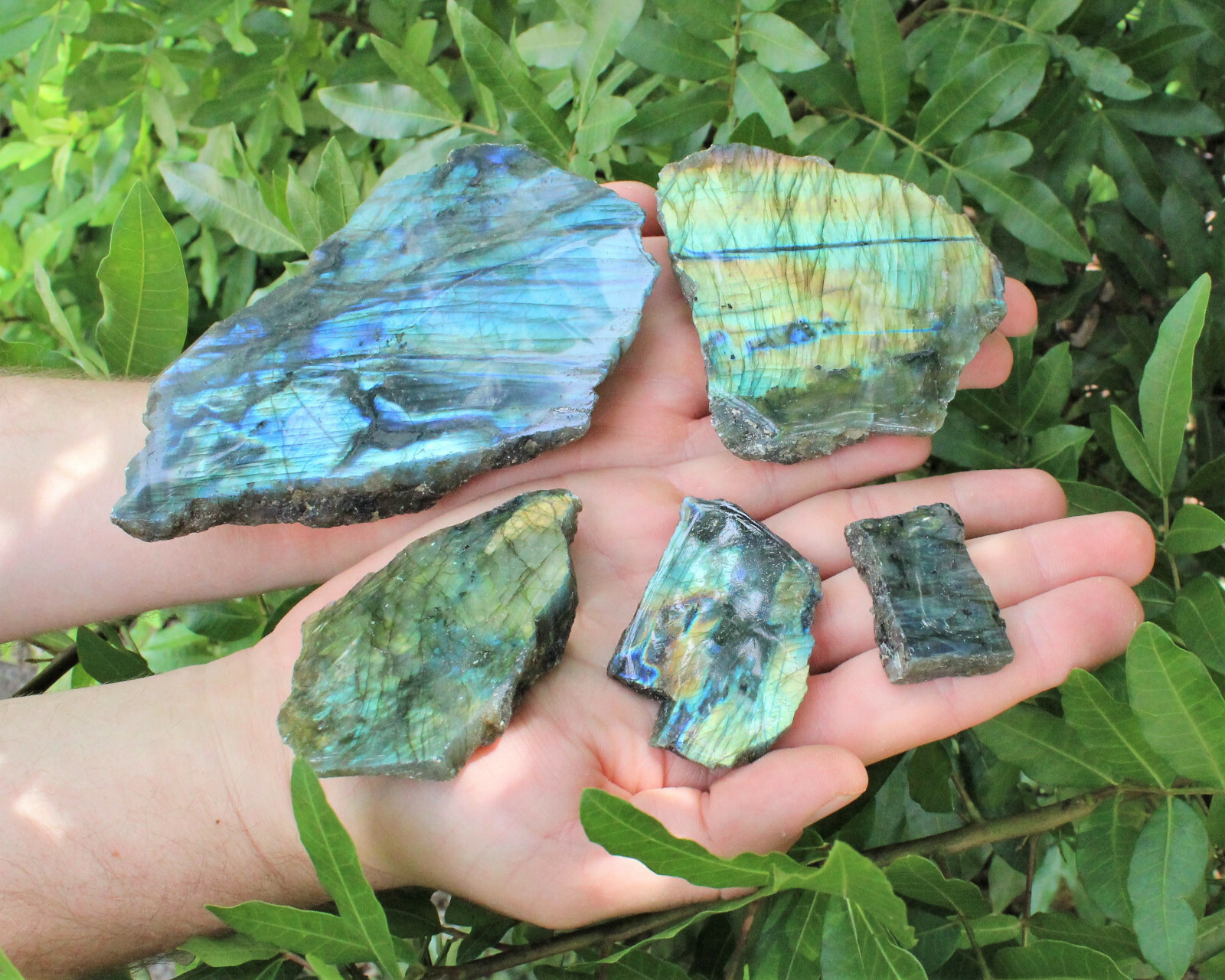 Labradorite Slab Wholesale Lots – Natural Labradorite Slice Crystal Specimens