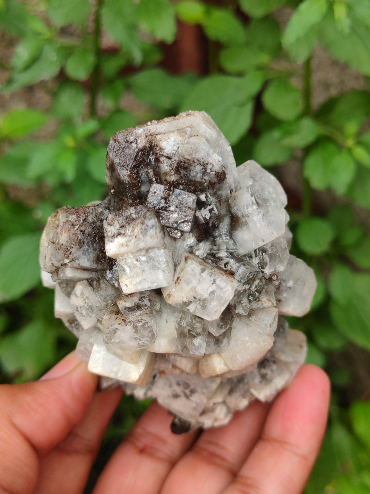 Disco Ball off Black and white Apophyllite Natural Mineral specimen