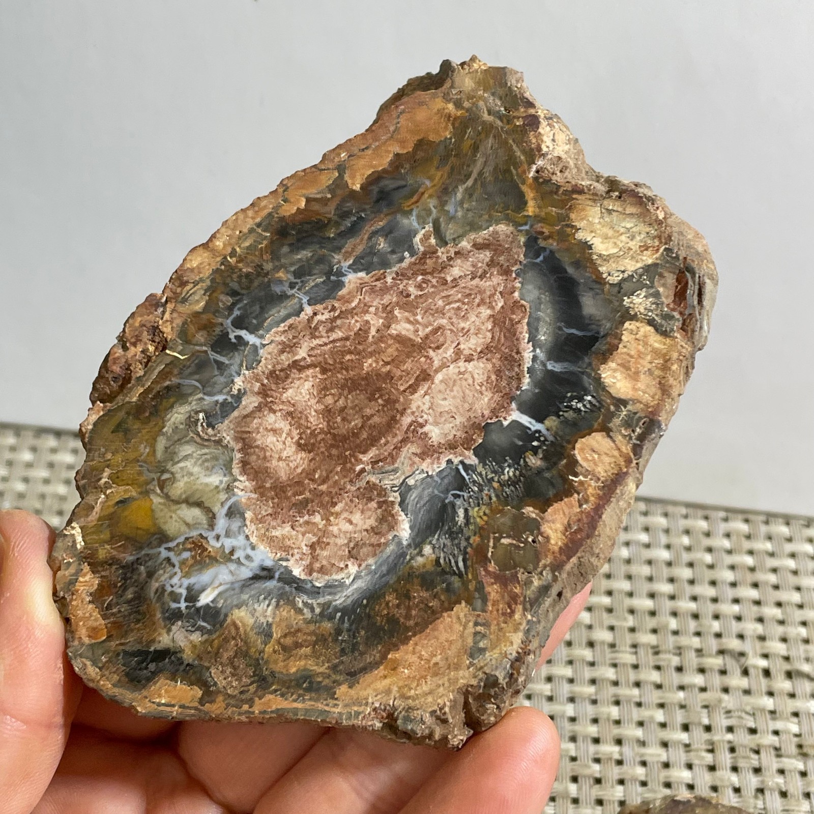 Natural Polished Petrified Wood Crystal Slice Madagascar 165g