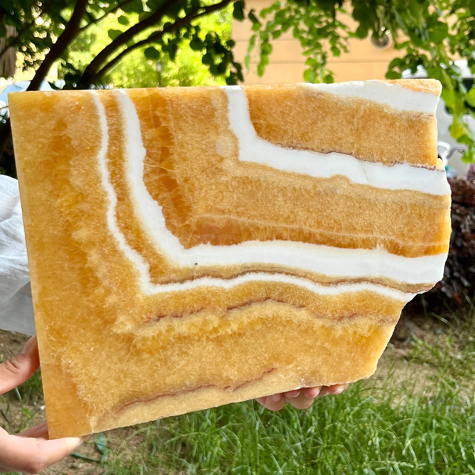 6.2 lb Authentic Yellow Calcite Polished Both Sides Crystal Slice Display