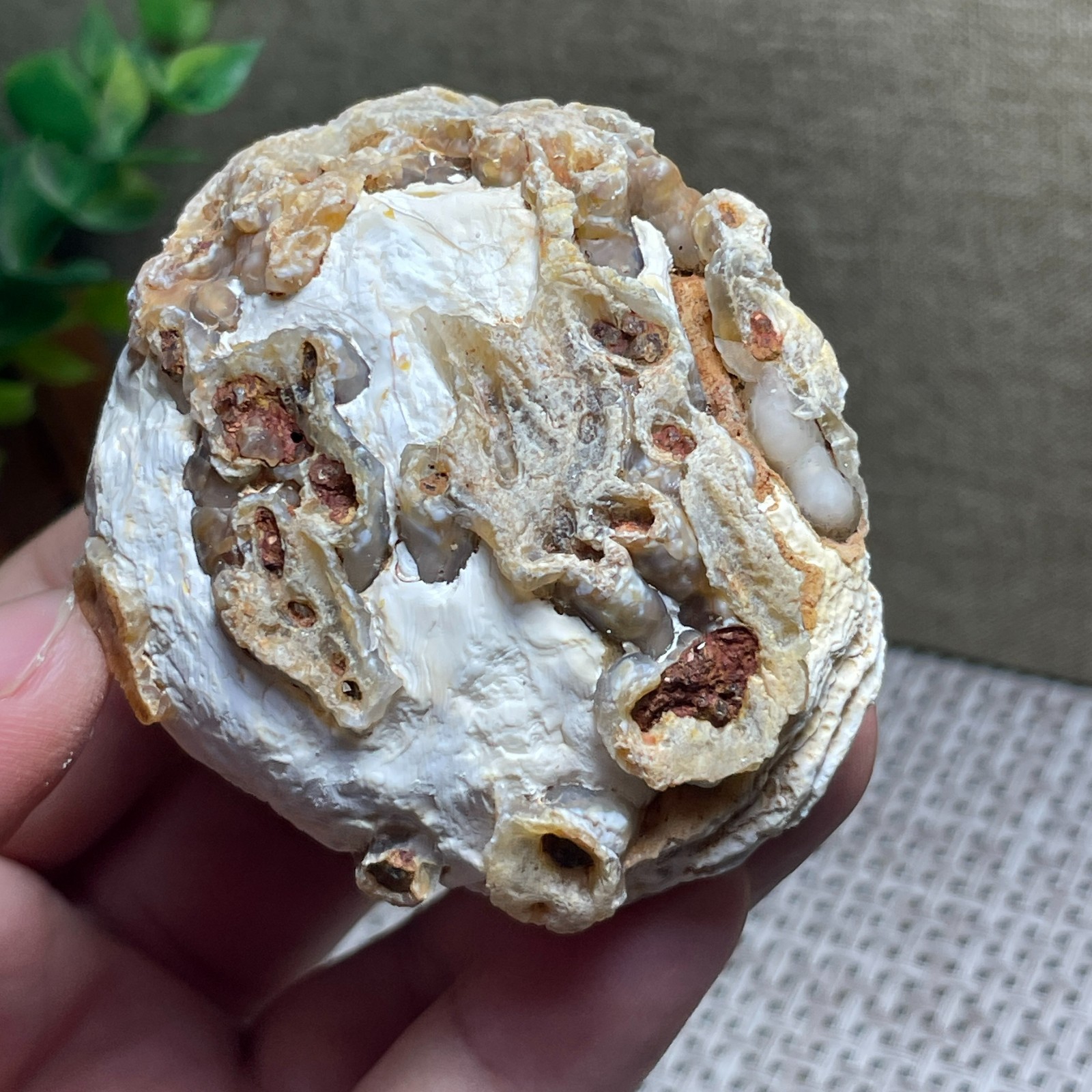 Beautiful ! GoBi agate eyes stone rough Crystal Stone Specimen Viewing 146g C55