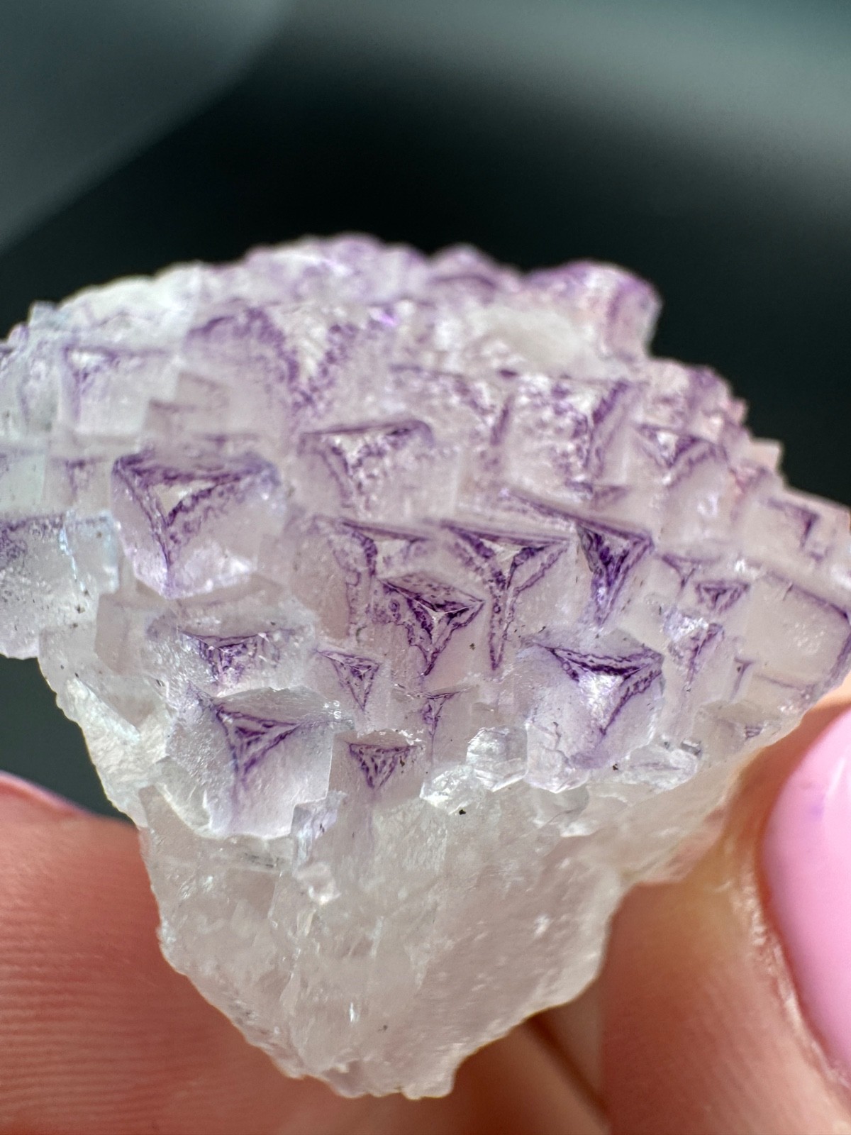 6836 NEW Database Fluorite Purple Triangle Yun Nan in Perky Box 34g