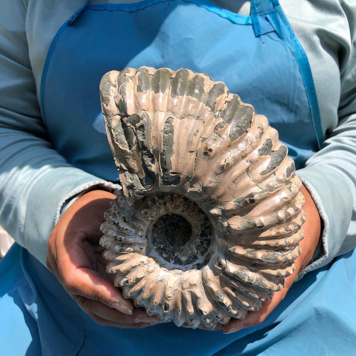 3.74LB Natural Beautiful Ammonite Fossil Conch Crystal Specimen Healing 5389