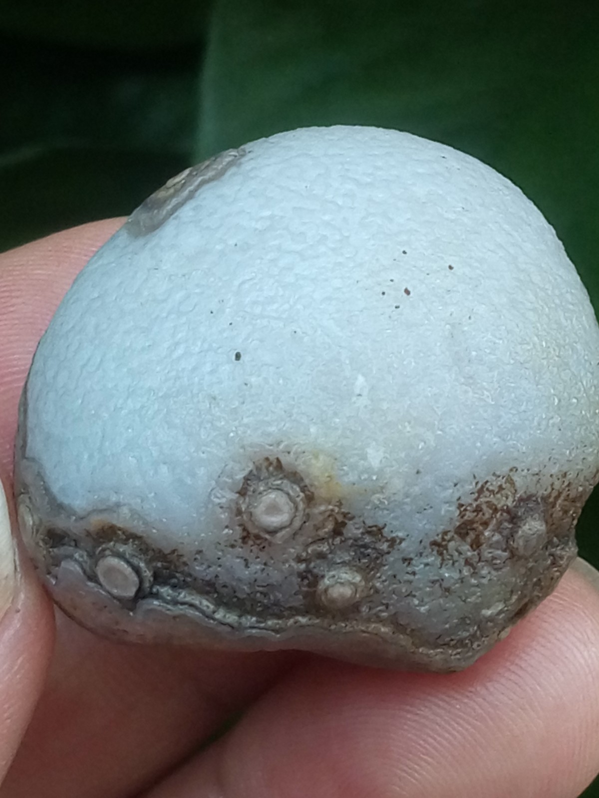32mm Beautiful Natural agate Gobi agate eye agate stone collection