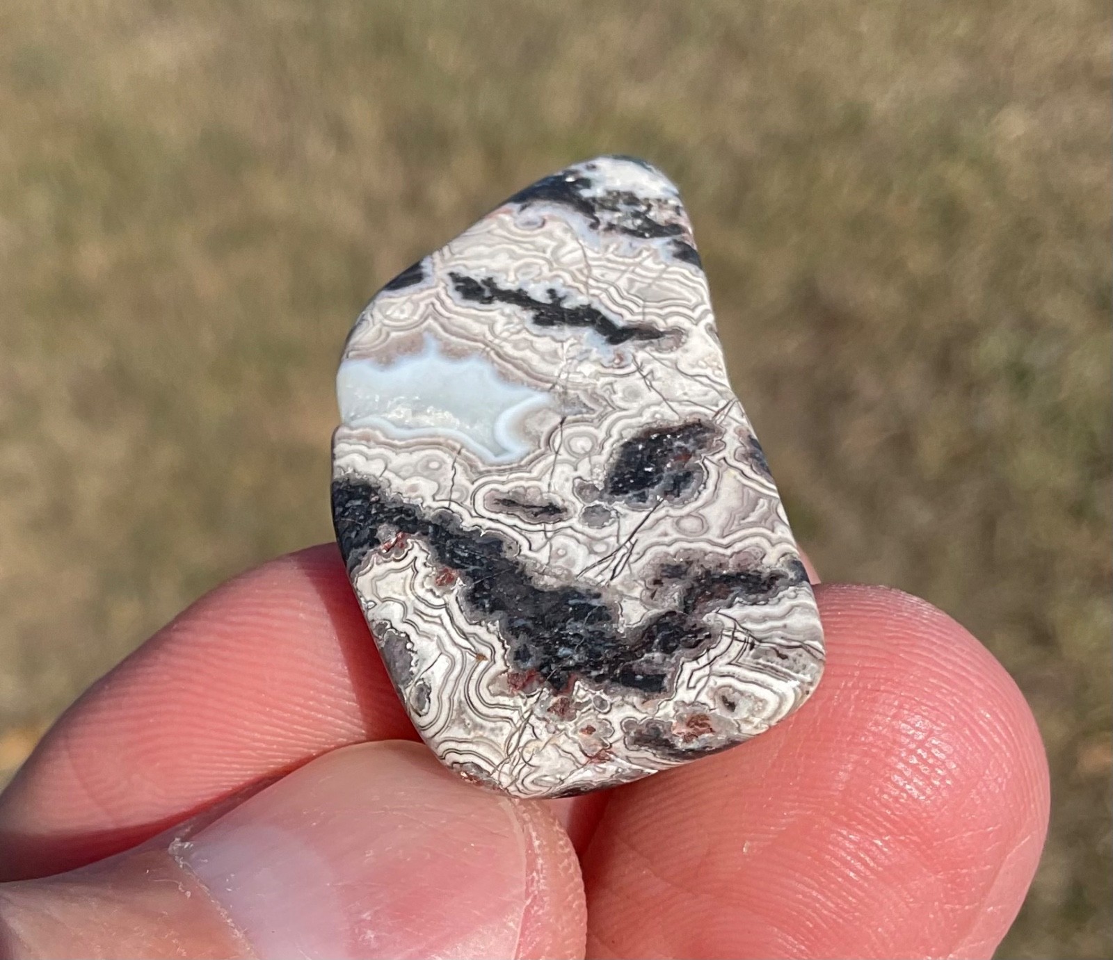 Polished Crazy Lace Agate Cabochon Preform Lapidary Gemstone High Grade