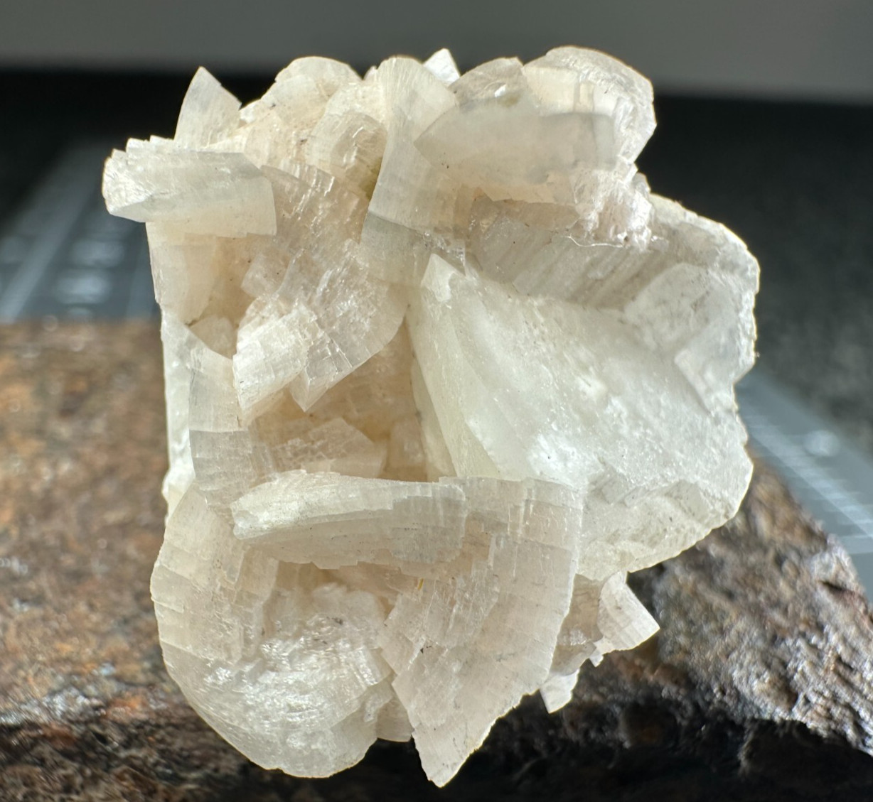 ➤ 1 x 1 Inch LARGE BLADED PINK DOLOMITE SPECIMEN – Corydon Indiana VIDEO➤1025