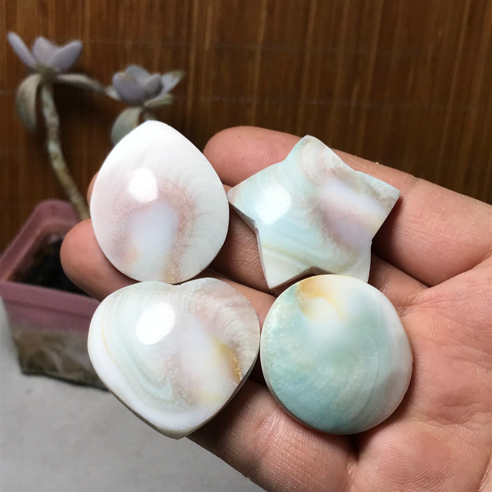 4Pcs Natural sun shell star Heart Reiki Shiva Eye ocean quartz carve A3331