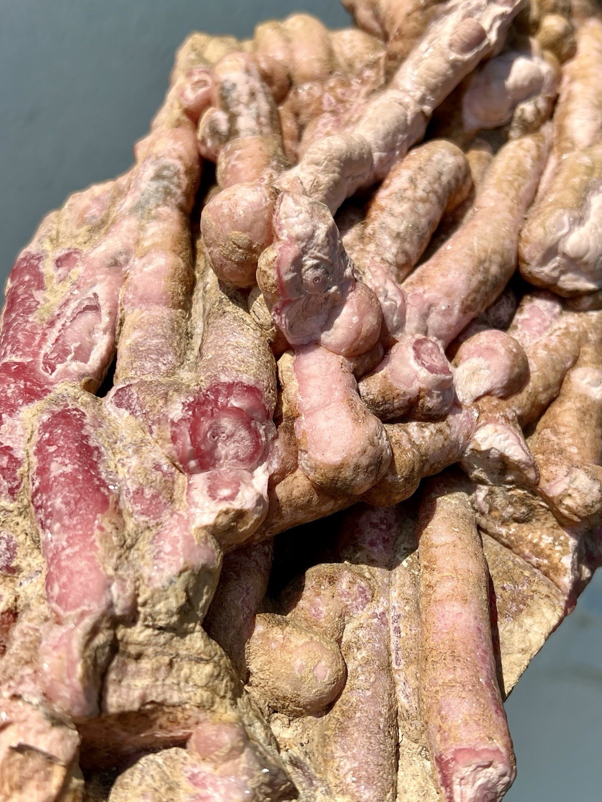 6.8 Pound: Rhodochrosite Stalactite Cluster Massive Ortiz, Capillitas, Argentina