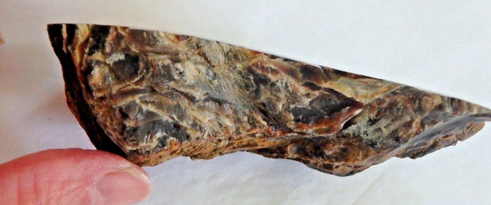 Fossil Petrified Wood 137.7 grams Polished top Raw bottom Old Stock