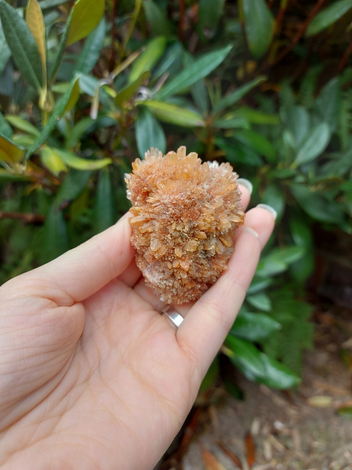 Rare Creedite with green quartz specimen, USA