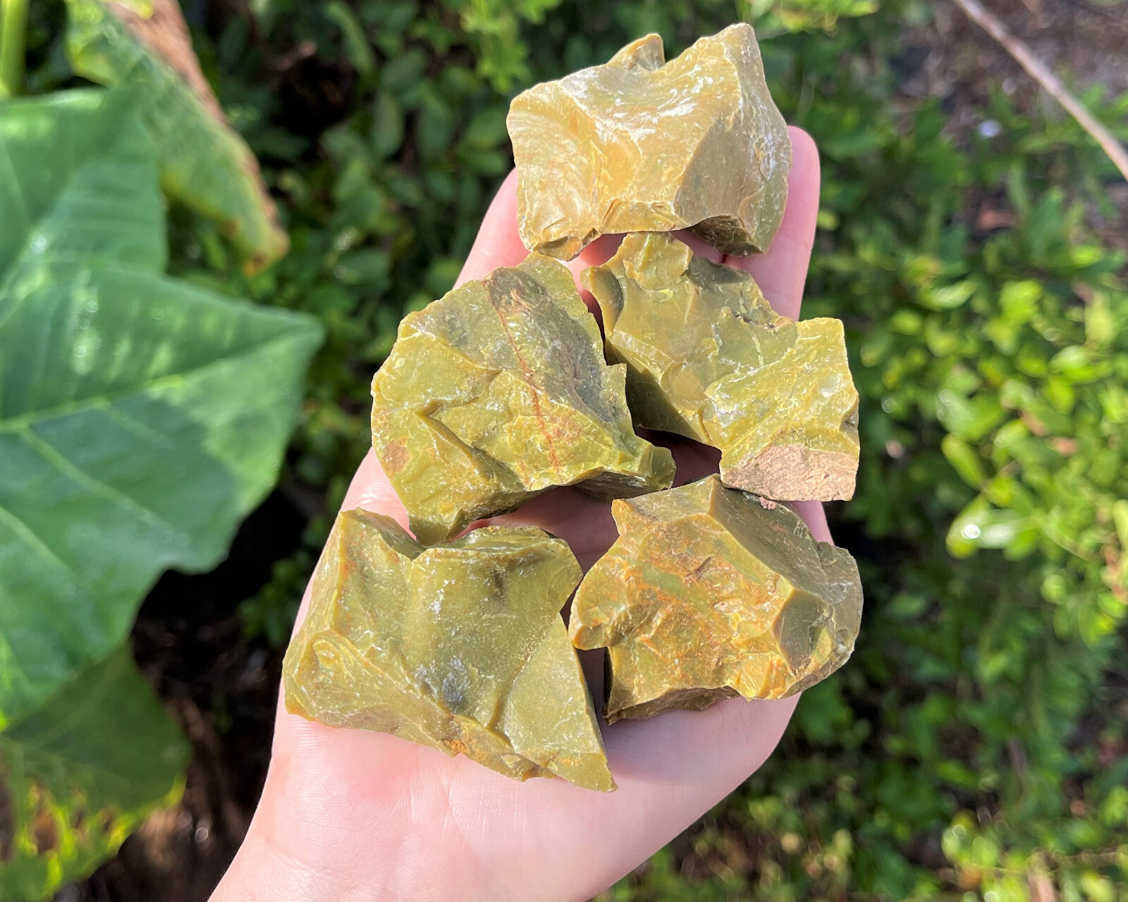 LARGE Rough Green Opal Natural Crystals, 2 – 3″ (Raw Green Opal Gemstones)