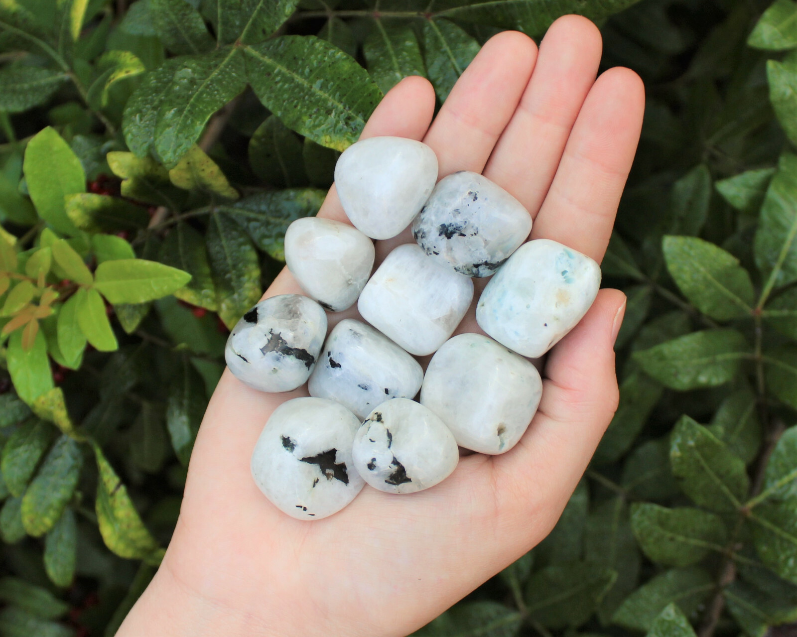 Rainbow Moonstone 1 MEDIUM/LARGE Tumbled Stone Crystal Healing (0.75″ – 1″)